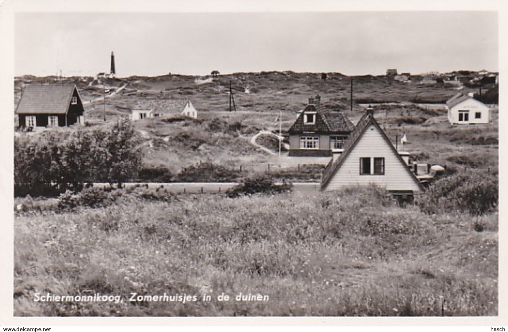 486033Schiermonnikoog, Zomerhuisjes In De Duinen. (FOTOKAART)  - Schiermonnikoog