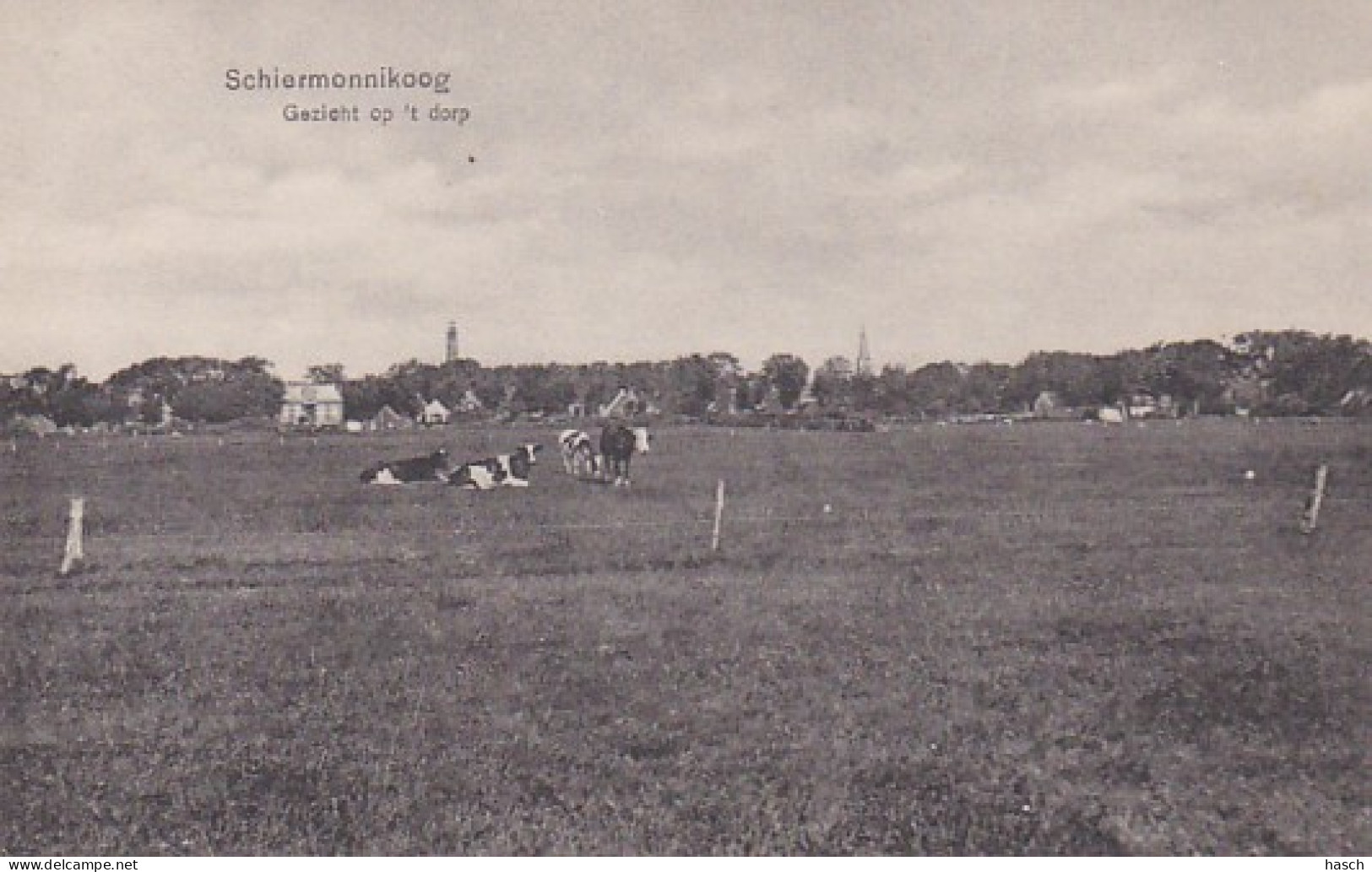 486083Schiermonnikoog, Gezicht Op 't Dorp.  - Schiermonnikoog