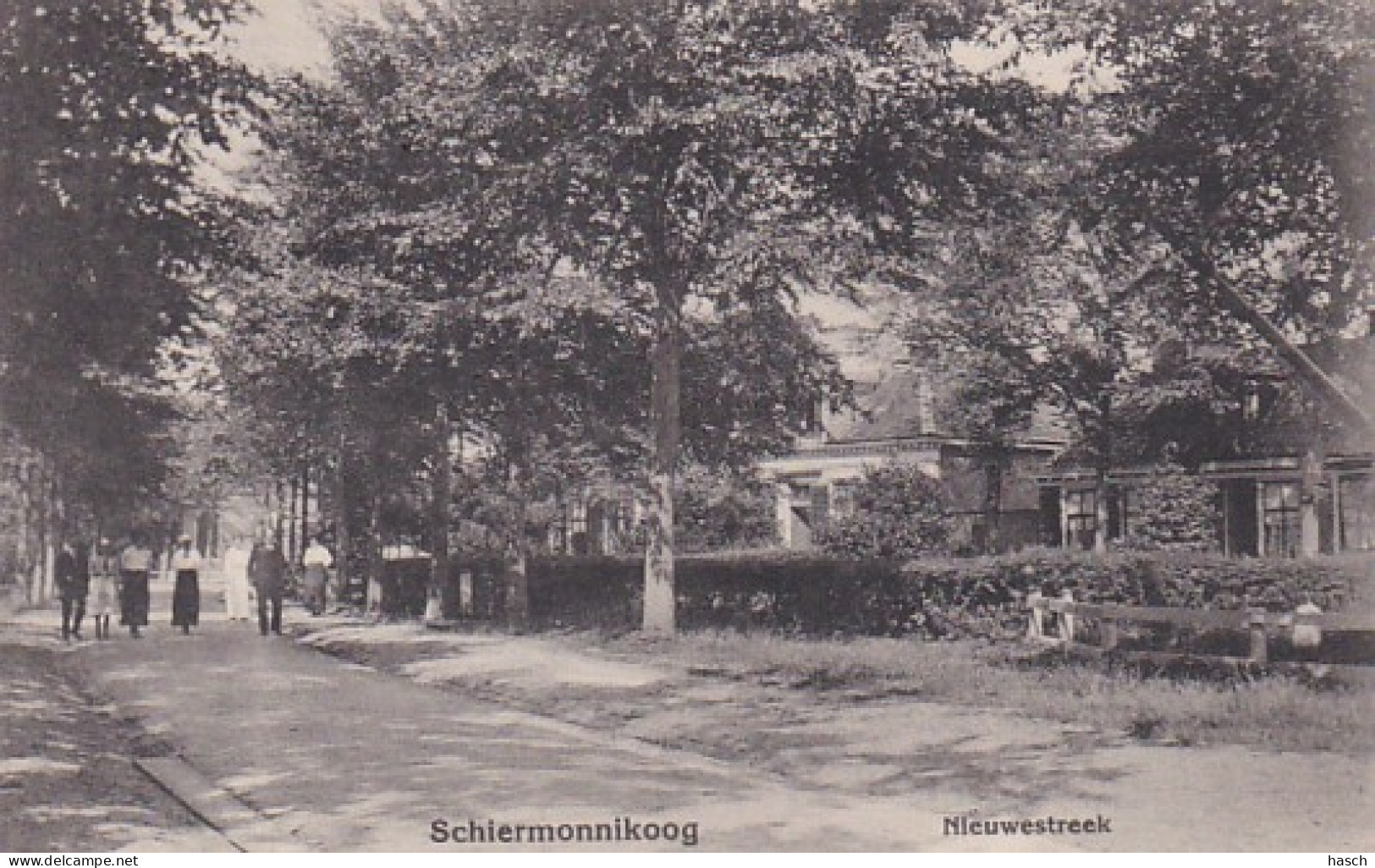 486098Schiermonnikoog, Nieuwestreek.  - Schiermonnikoog