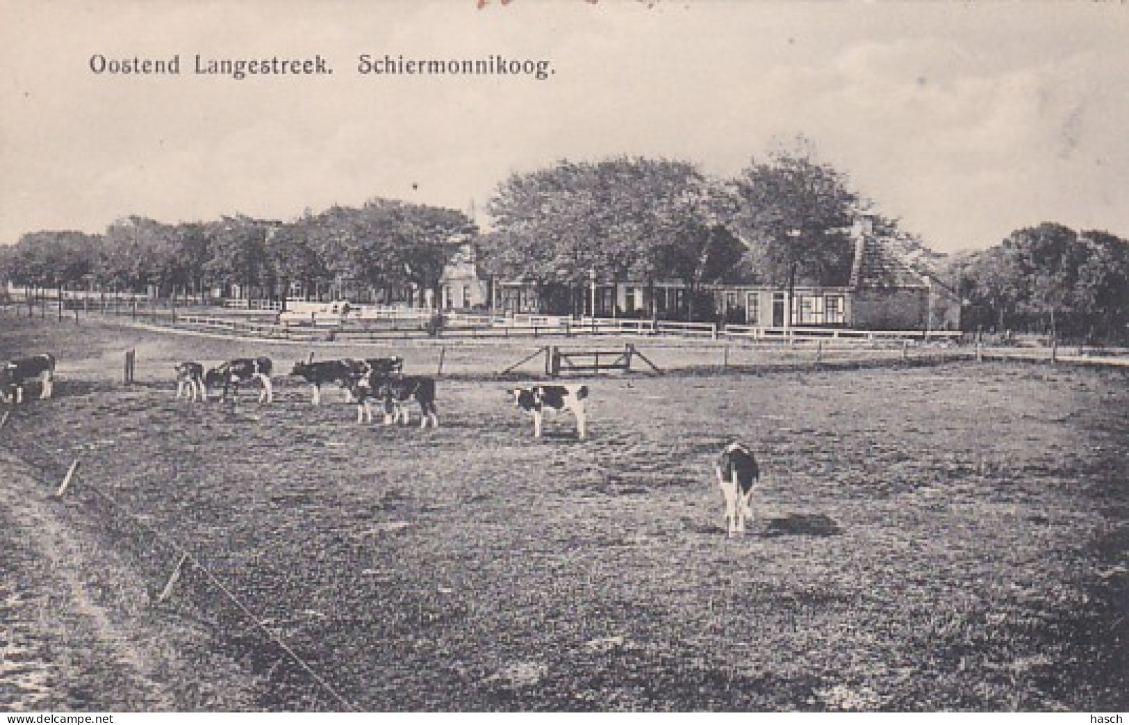 4860100Schiermonnikoog, Oostend Langestreek.  - Schiermonnikoog