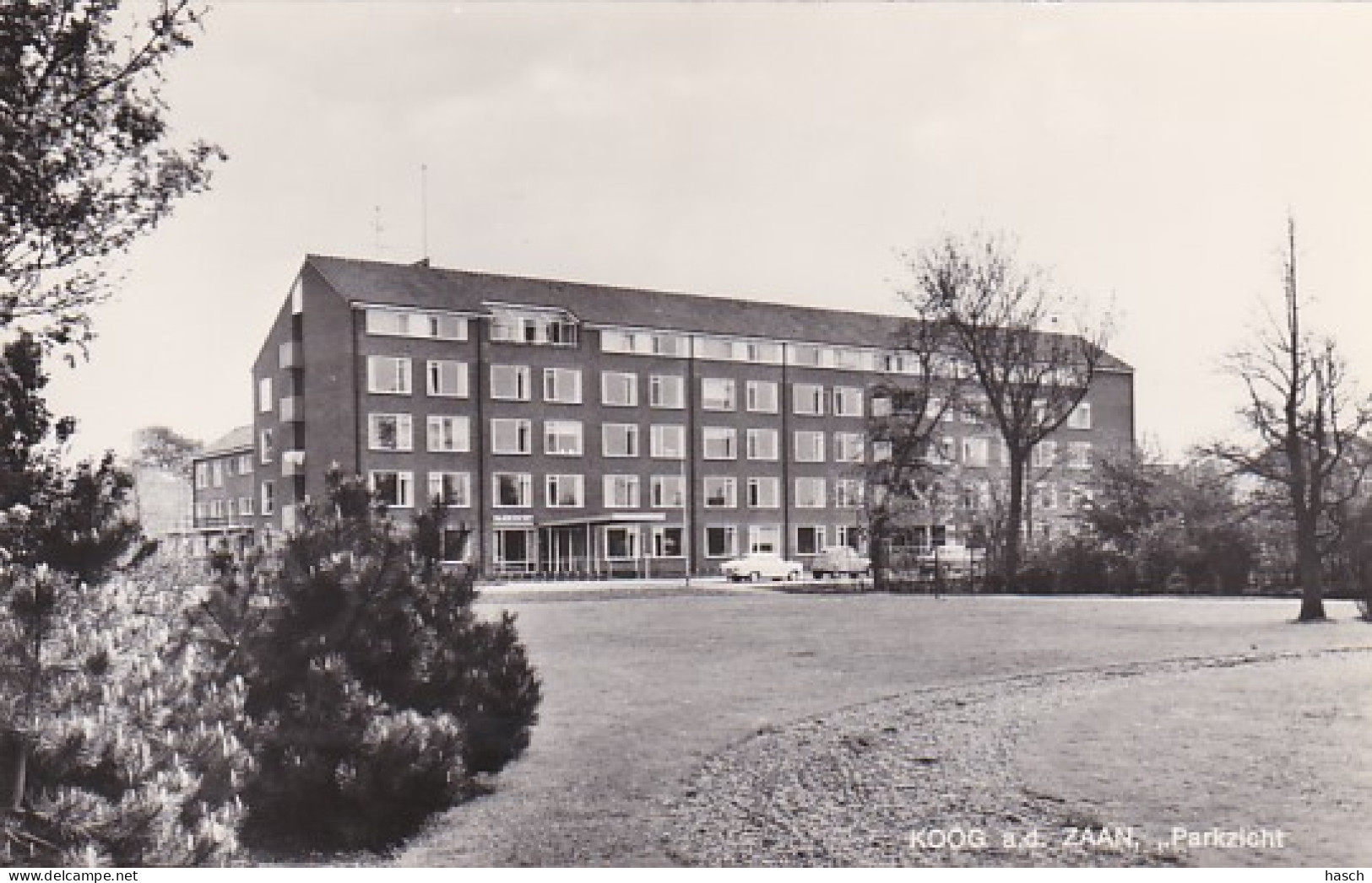 486350Koog Aan De Zaan, Parkzicht. (Mooie Fotokaart)  - Zaanstreek