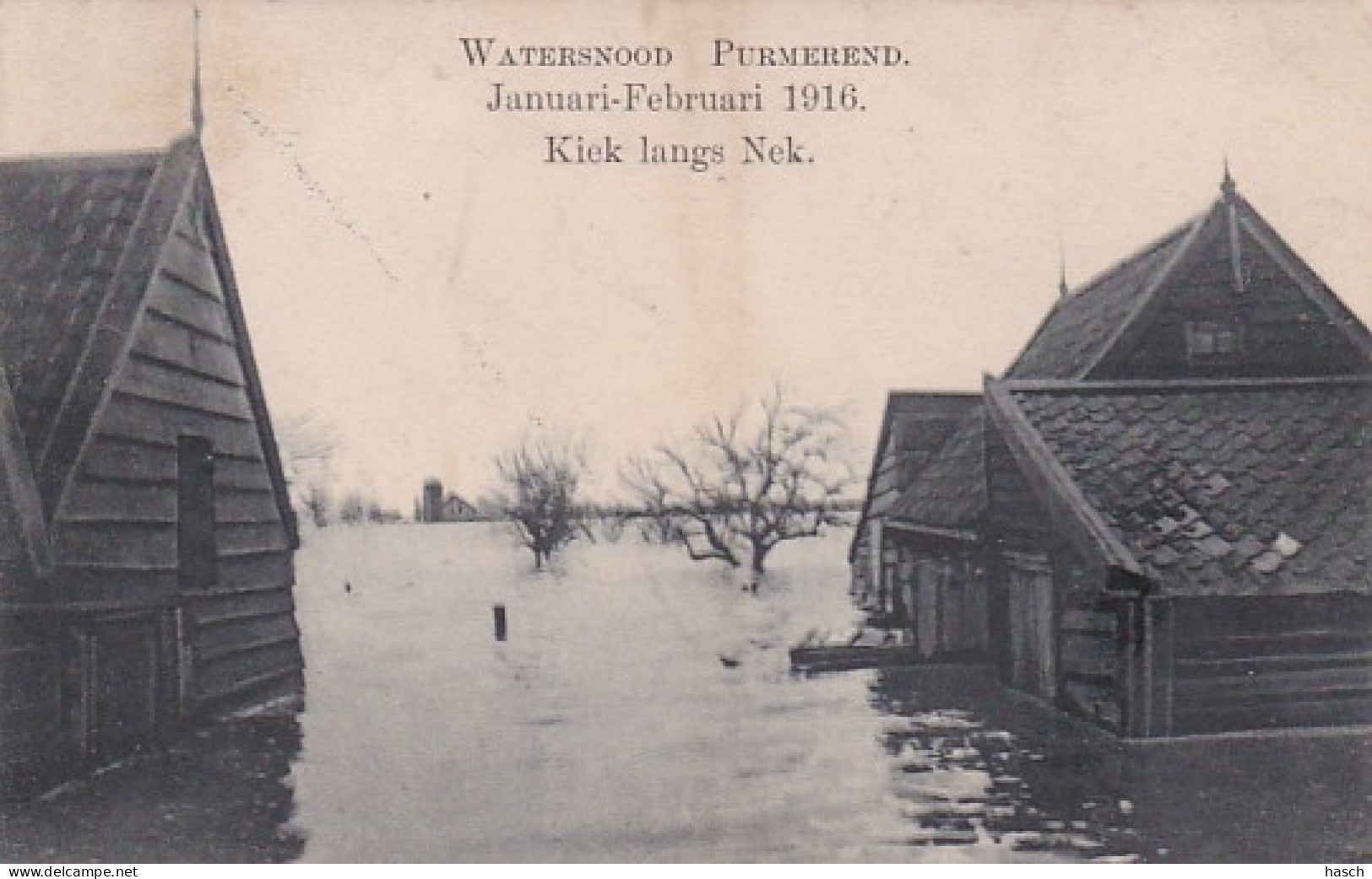 486821Purmerend, Watersnood Januari – Februari 1916. Kiek Langs Nek.  - Purmerend