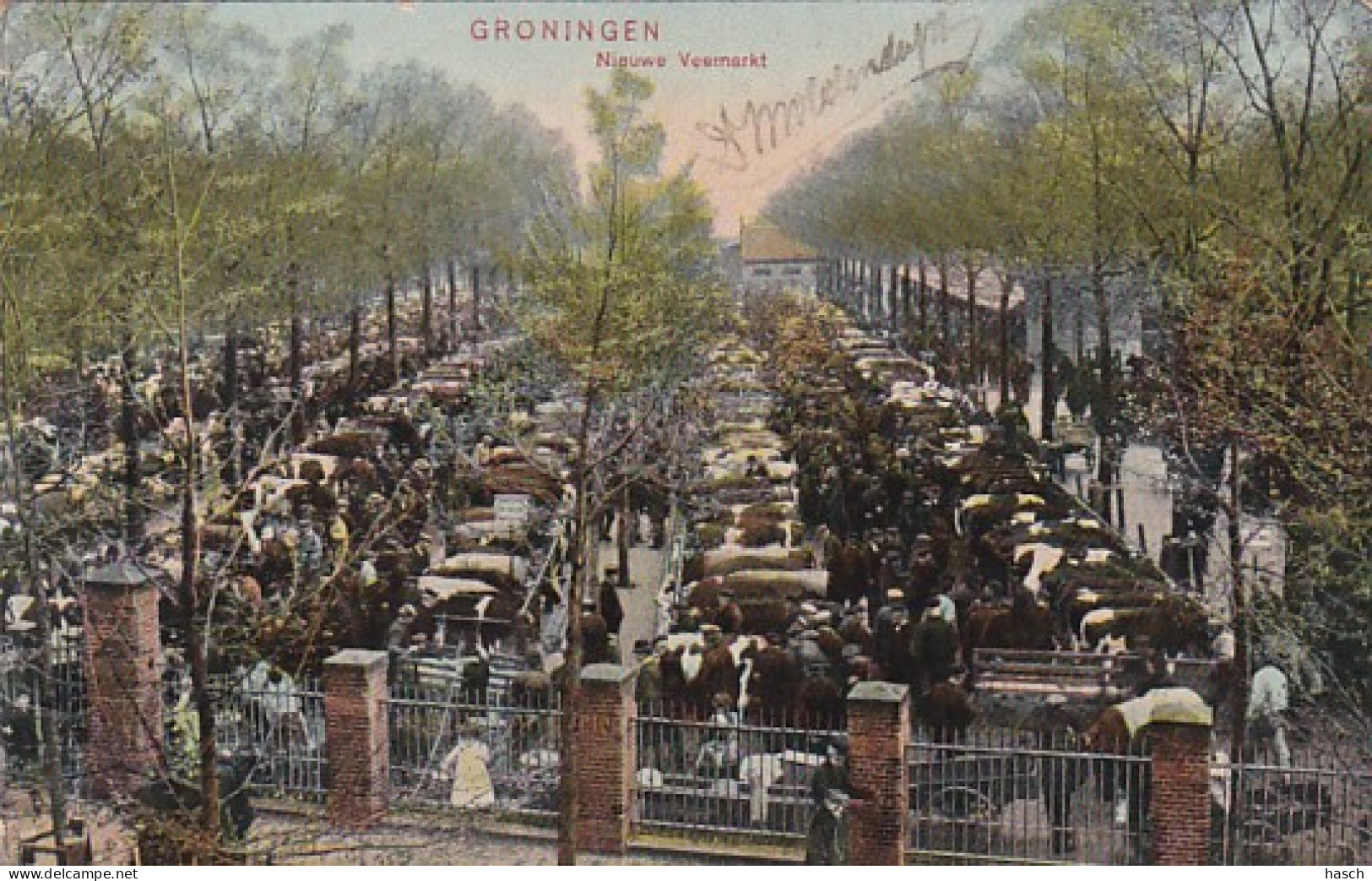 4868144Groningen, Nieuwe Veemarkt, Rond 1900. (linksboven Een Kleine Vouw)  - Groningen
