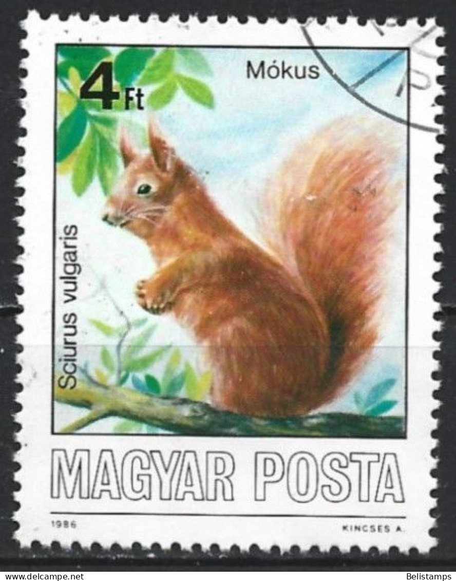 Hungary 1986. Scott #3038 (U) Wildlife Conservation, Sciurus Vulgaris - Oblitérés