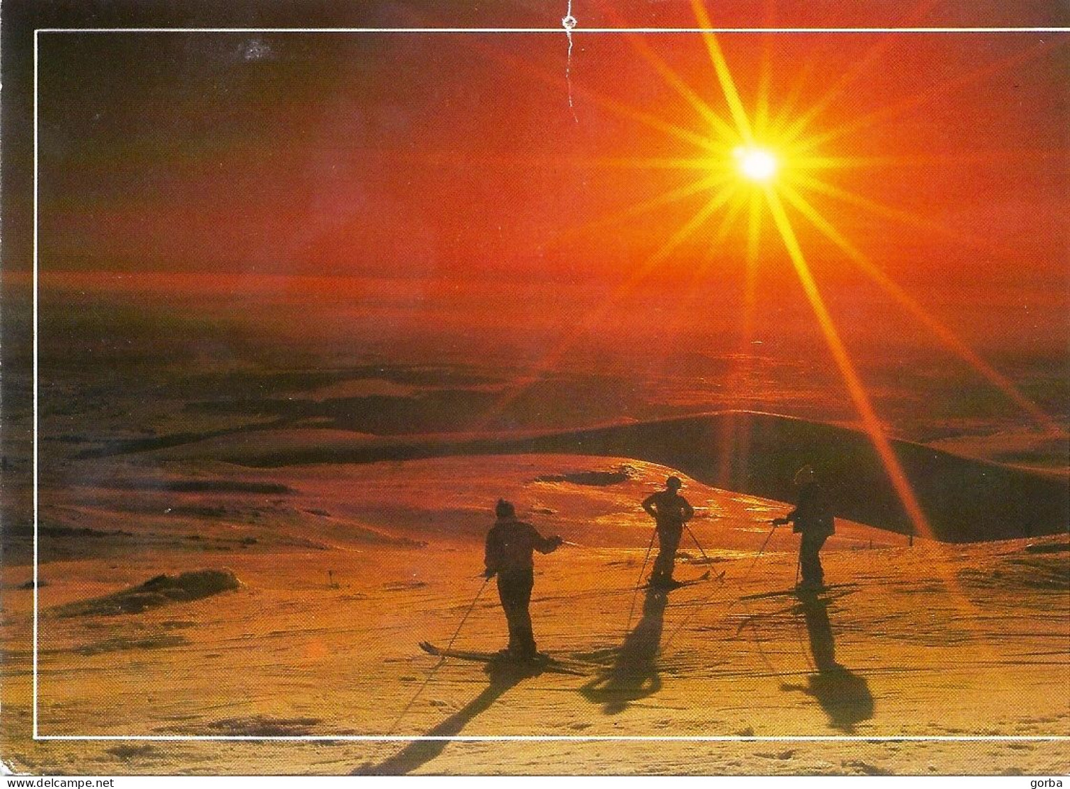 *CPM -  Neige Et Soleil - Skieurs Contre Jour - Contre La Lumière