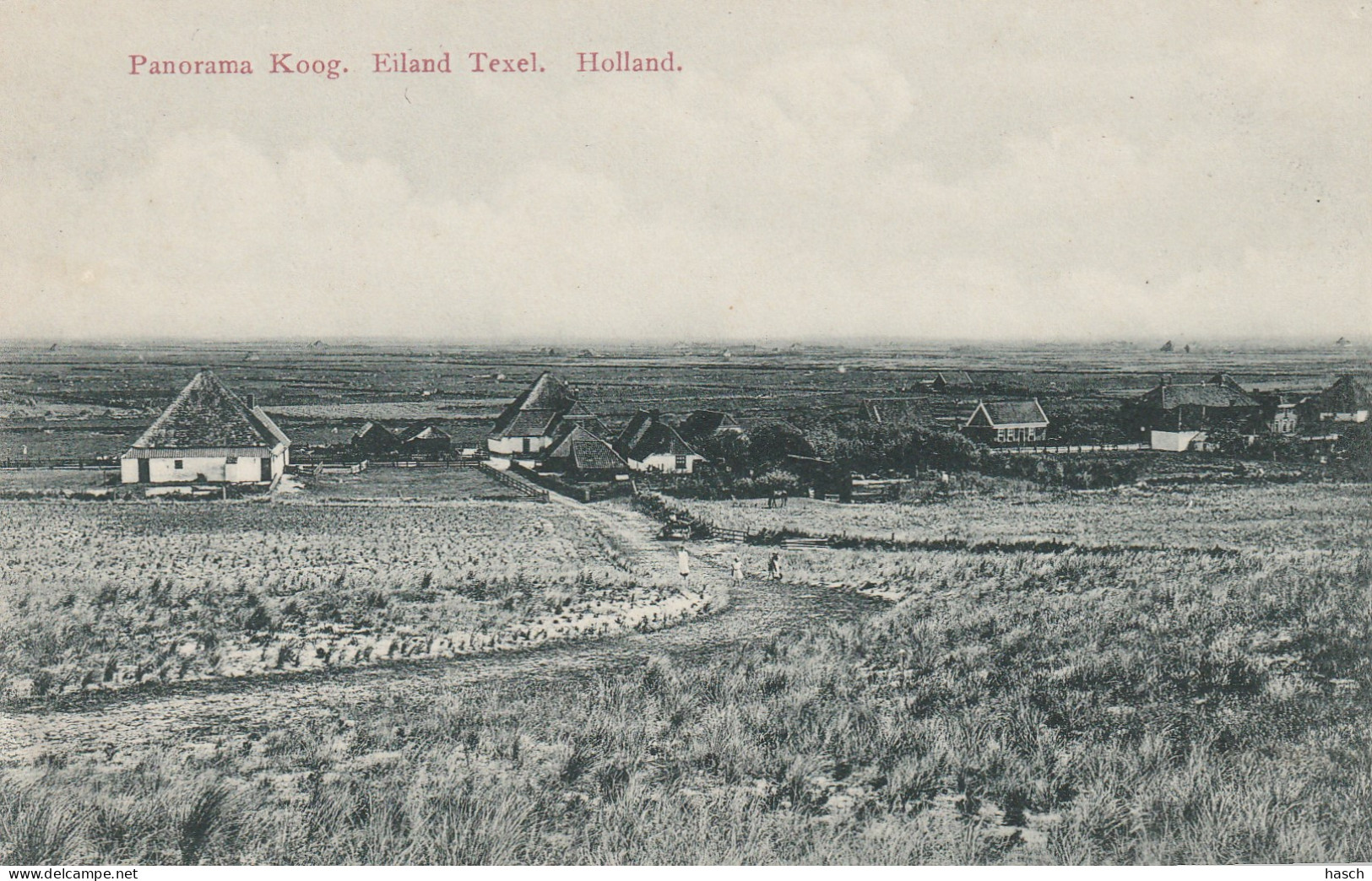 4893364Texel, Panorama Koog.  - Texel