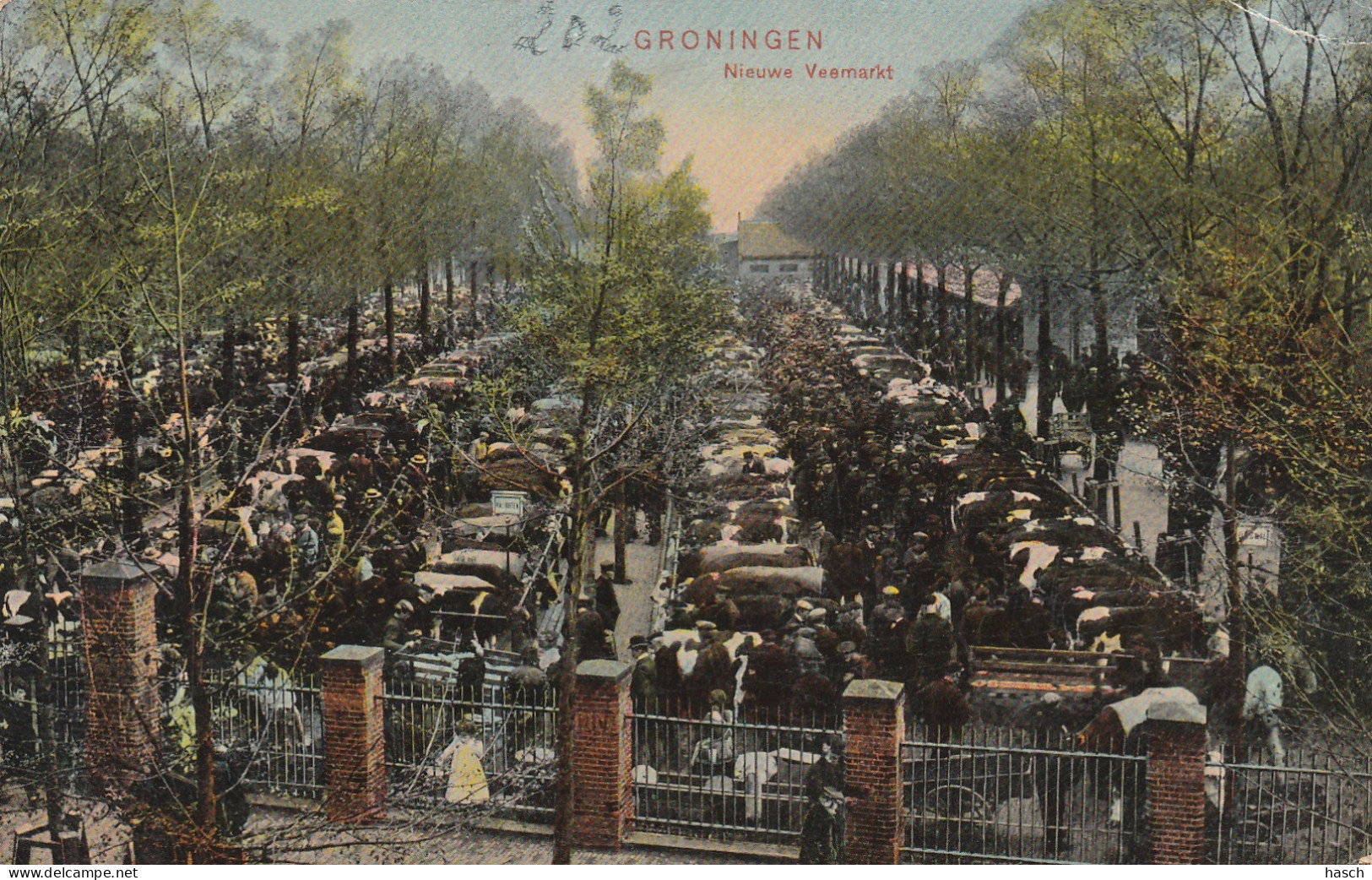 4893475Groningen, Nieuwe Veemarkt. 1910. (Rechtsboven Een Kleine Vouw)  - Groningen