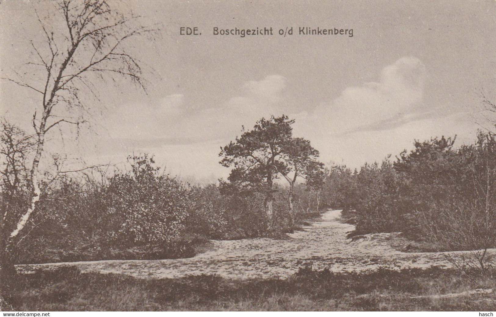 4893504Ede, Boschgezicht O / D Klinkenberg. (Linksonder Een Kleine Vouw)  - Ede
