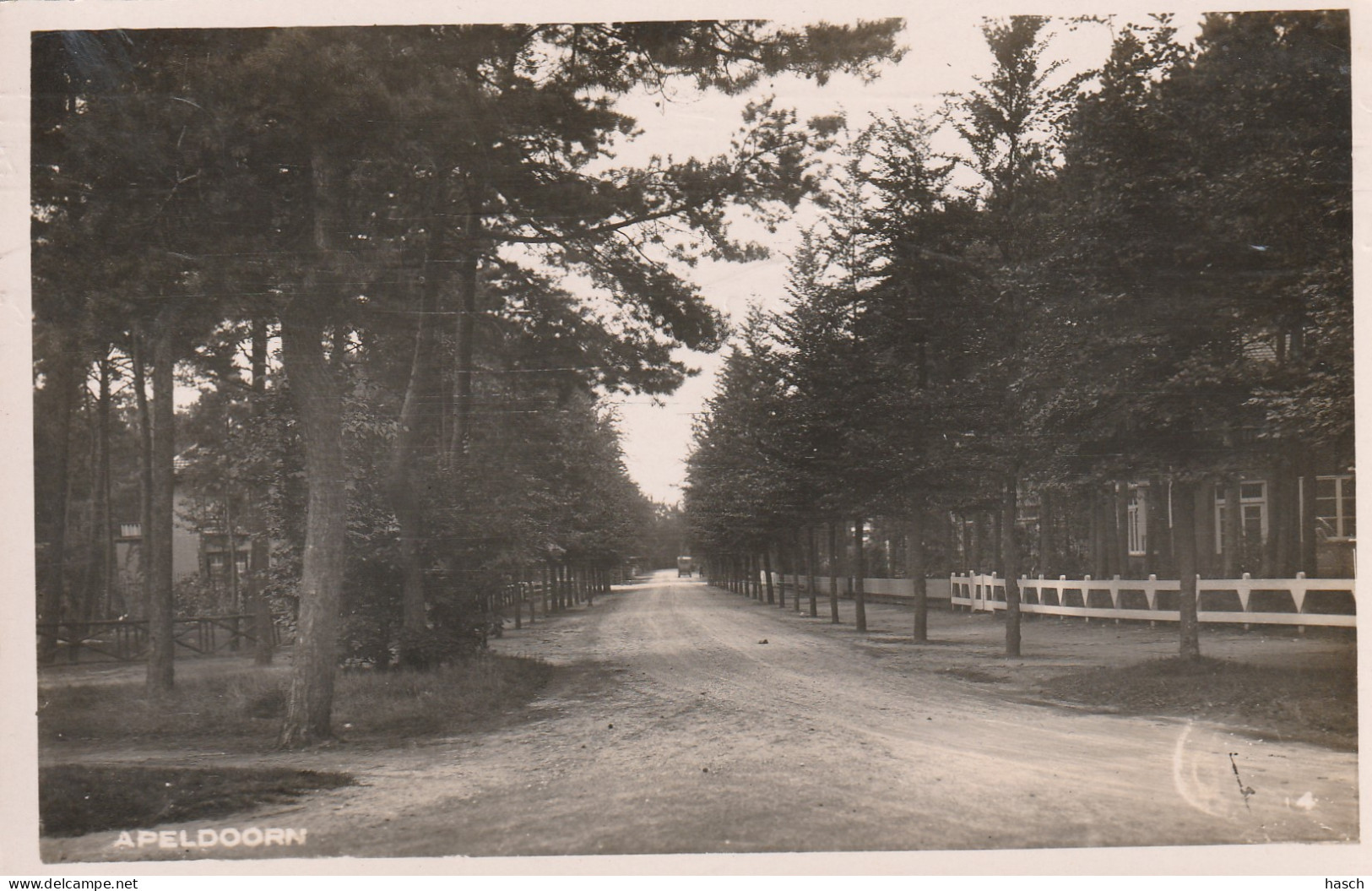 4893554Apeldoorn, (FOTOKAART) (Doordruk Stempel)  - Apeldoorn