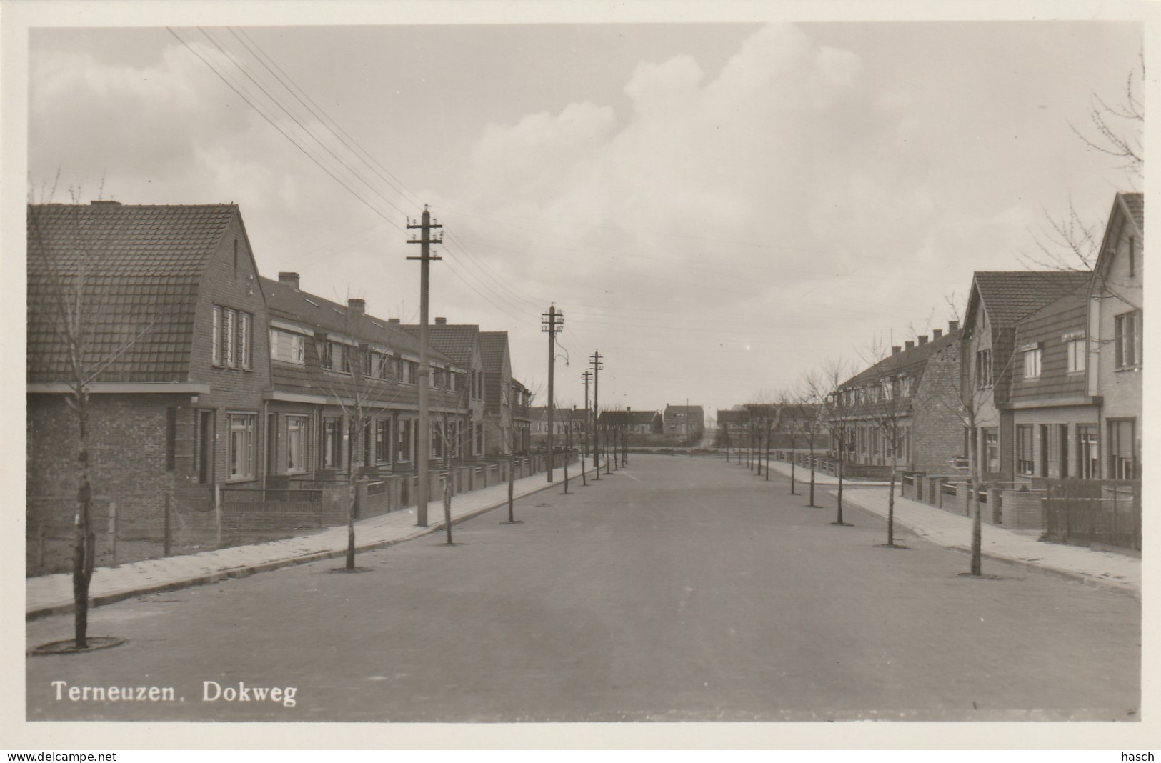 4893621Terneuzen, Dokweg. (FOTOKAART)  - Terneuzen