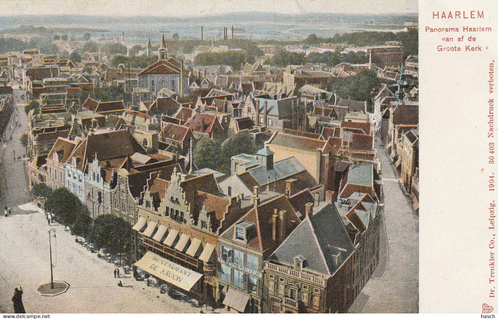 4893640Haarlem, Panorama Vanaf De Groote Kerk Rond 1900.   - Haarlem