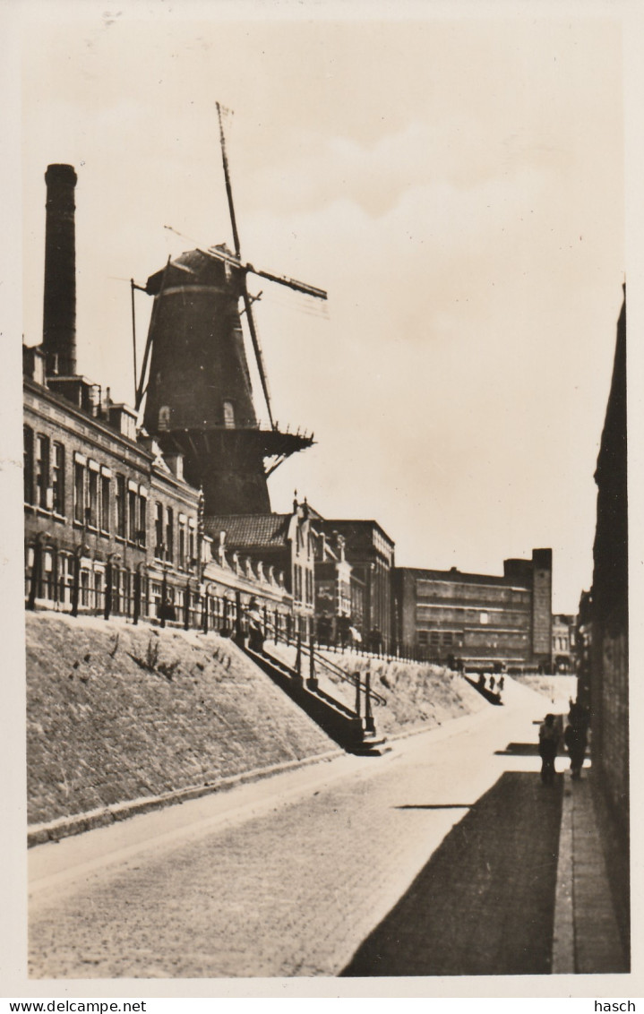 4893644Dordrecht, Noordendijk Met Molen ,,Kijk Over De Dijk''. (FOTOKAART)  - Dordrecht