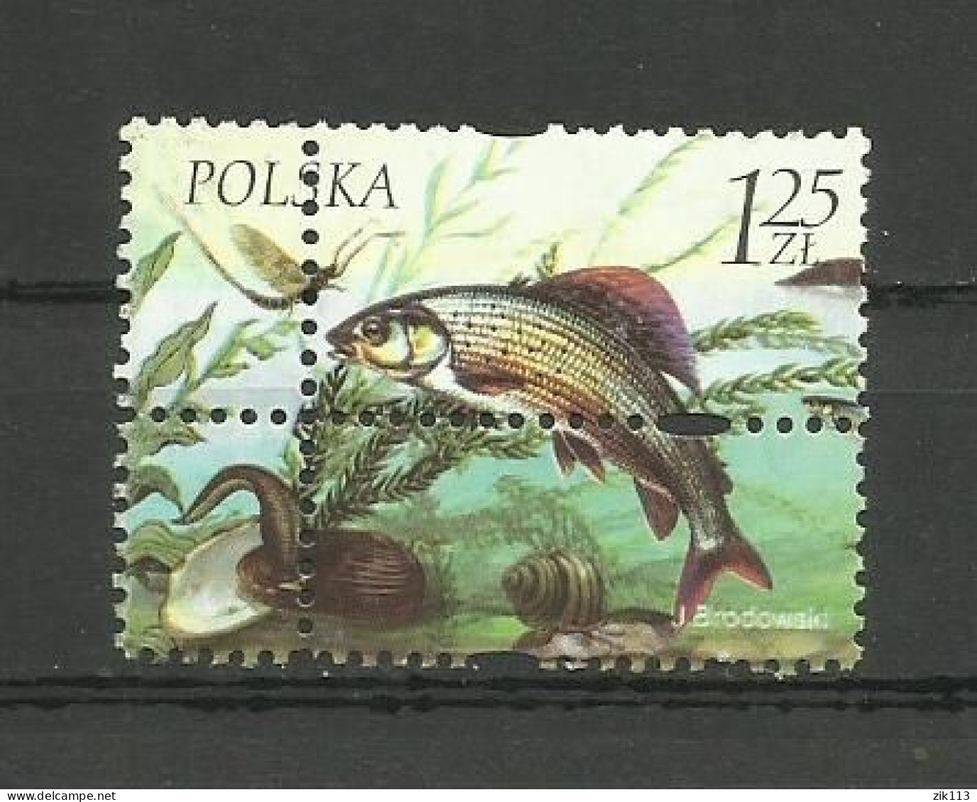 POLAND  2004 - ERROR DOUBLE  AND  SHIFT  PERFORATION,  RARE - Variétés & Curiosités