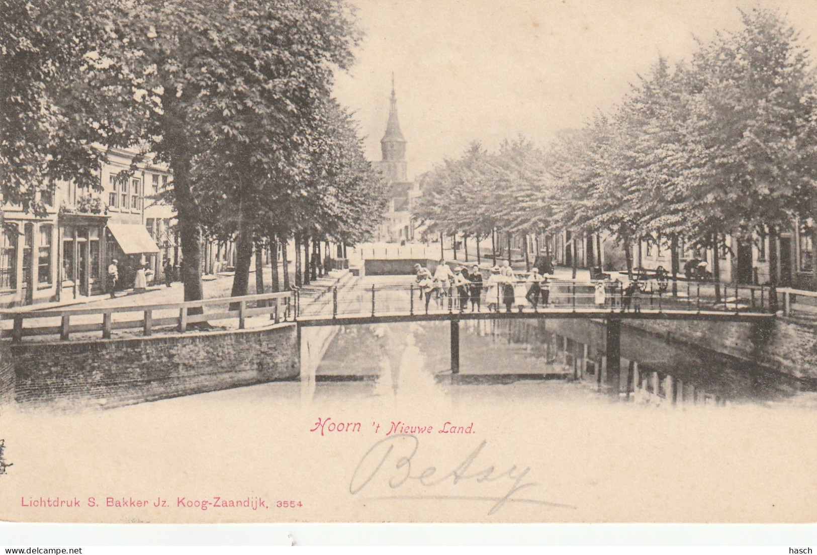 489229Hoorn, 't  Nieuwe Land. (Rond 1900)  - Hoorn