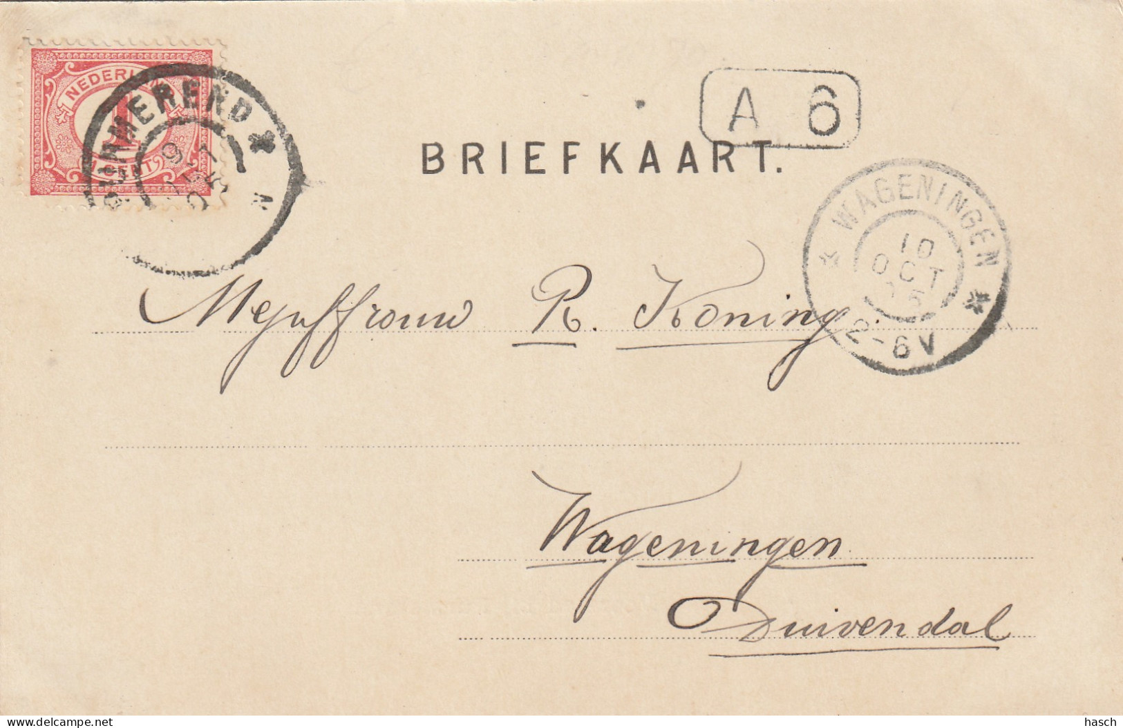 489275Purmerend, Beemster Voorstad Bij Purmerend. (Poststempel 1905)  - Purmerend