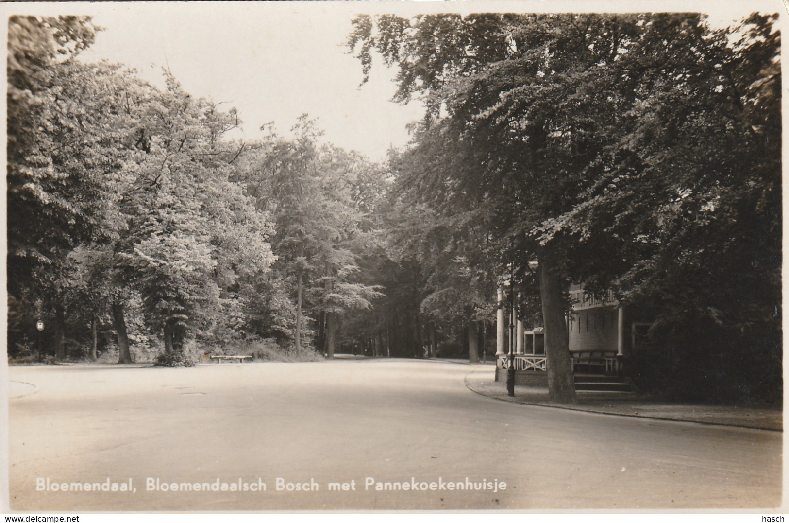 4892194Bloemendaal, Bloemendaalsch Bosch Met Pannekoekenhuisje.(FOTOKAART)  - Bloemendaal