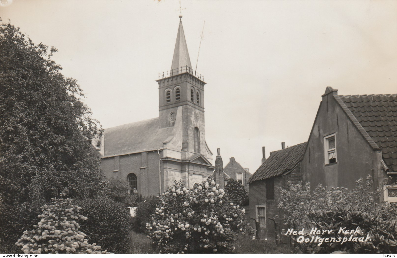 4892286Ooltgensplaat, Ned. Herv. Kerk. (FOTOKAART) (Langebalk Stempel)  - Sonstige & Ohne Zuordnung