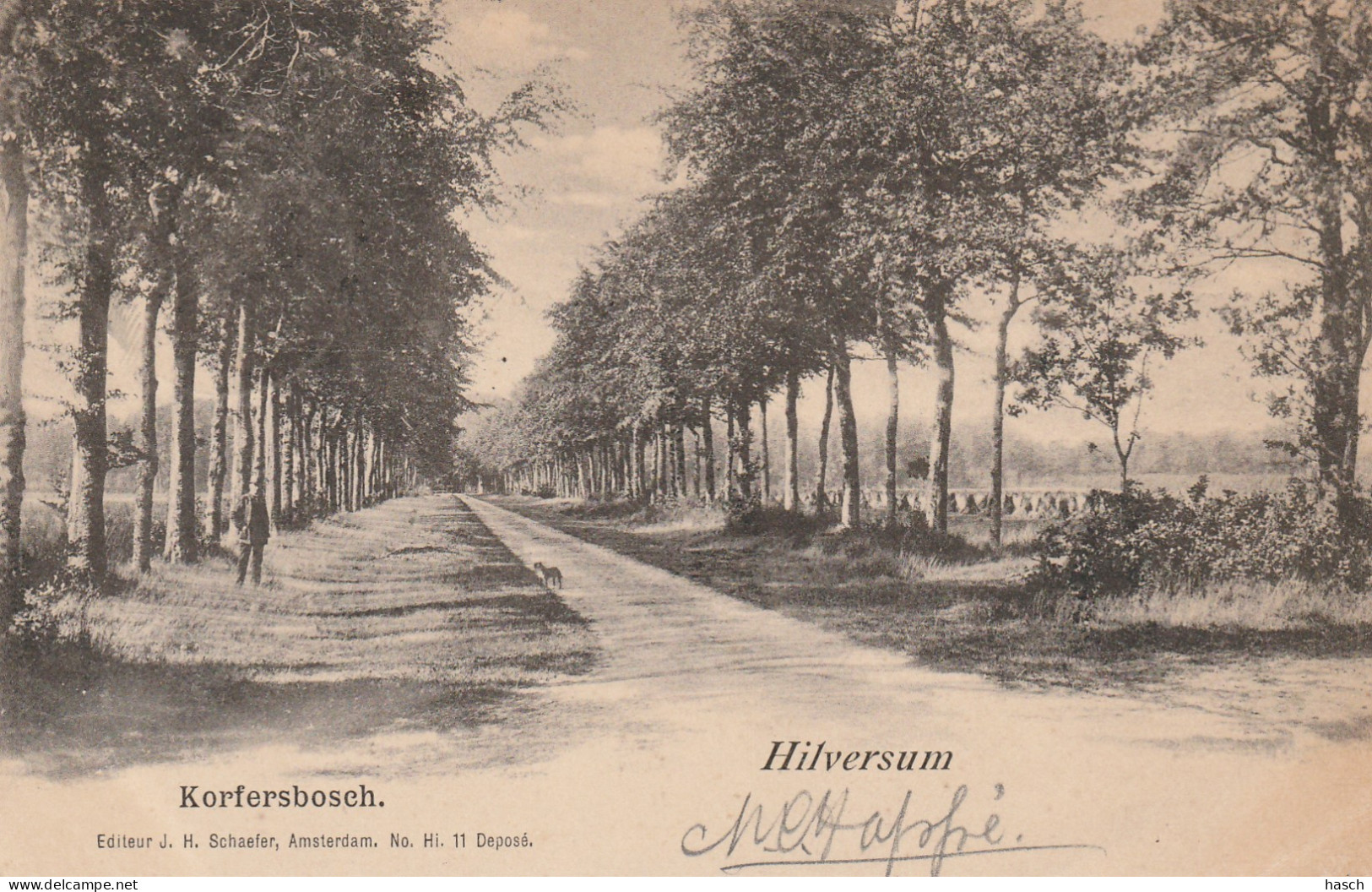 4892320Hilversum, Korfersbosch. (Rechtsonder Een Kleine Vouw) (Poststempel 1901)  - Hilversum