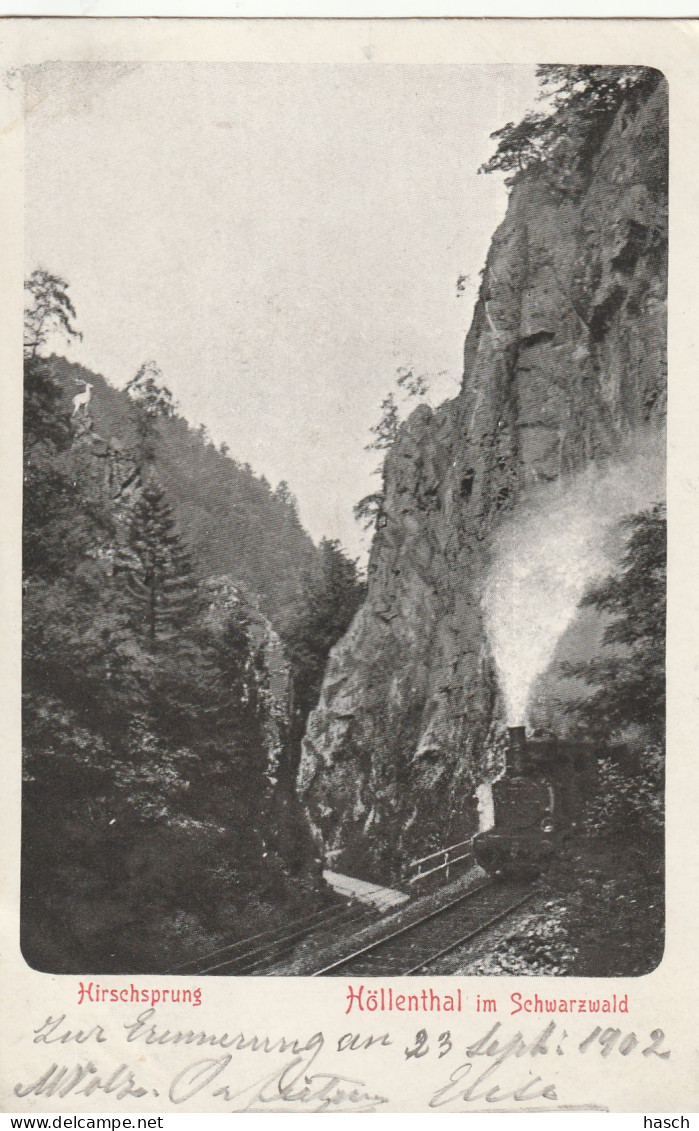4907 8 Höllenthal Im Schwarzwald. Hirschprung, 1902.  - Höllental
