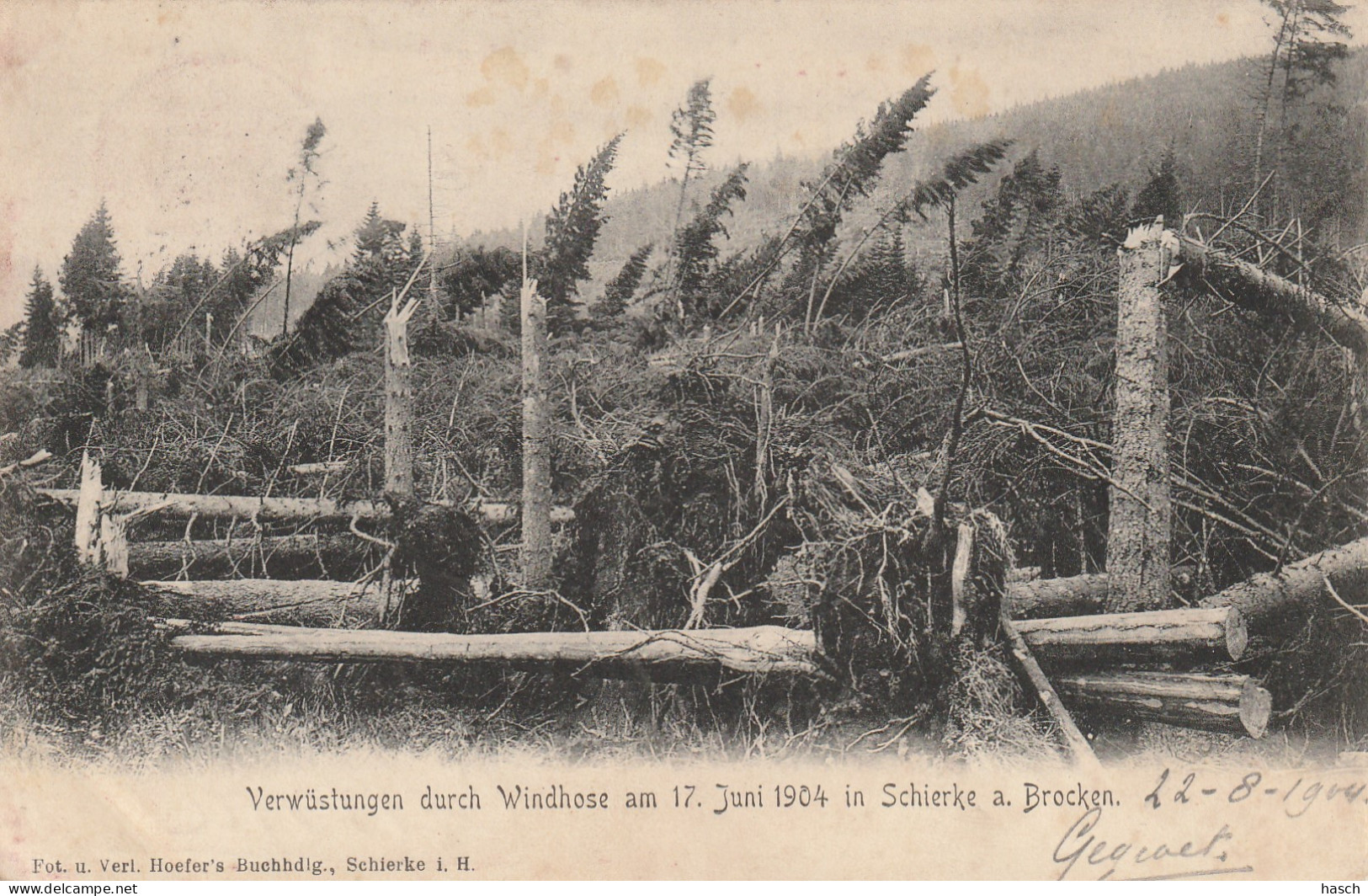 4907 43 Gewitterbruch In Schierke Am 17 Juni 1904. (Der Rücken Beginnt Loszulassen)  - Schierke