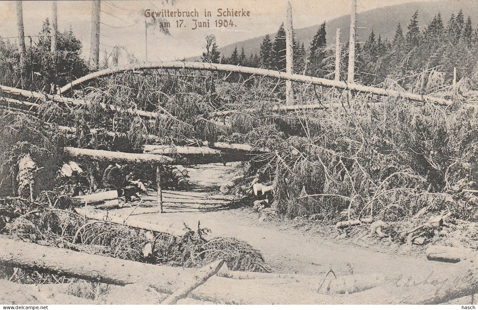 4907 44 Gewitterbruch In Schierke Am 17 Juni 1904.  - Schierke