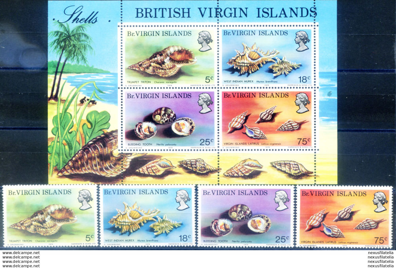 Conchiglie 1974. - British Virgin Islands