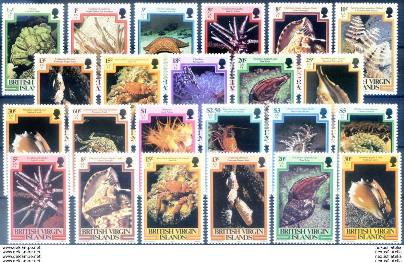 Definitiva. Flora E Fauna Marine 1979-1982. - Iles Vièrges Britanniques