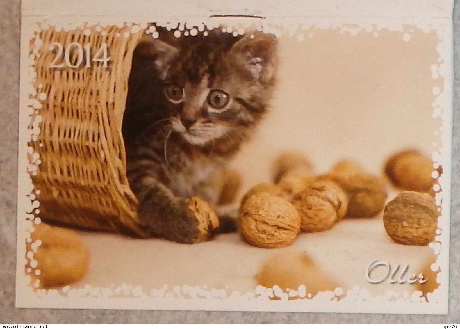 Petit Calendrier De Poche Agenda 2014 Oller Chat Chaton Noix - 12 Pages - Tamaño Pequeño : 2001-...