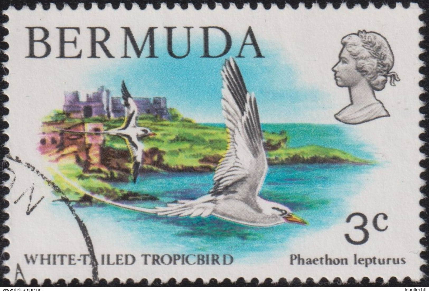 1978 Bermuda ° Mi:BM 352, Sn:BM 363, Yt:BM 353, Sg:BM 387, White-tailed Tropicbird (Phaethon Lepturus) - Bermudes
