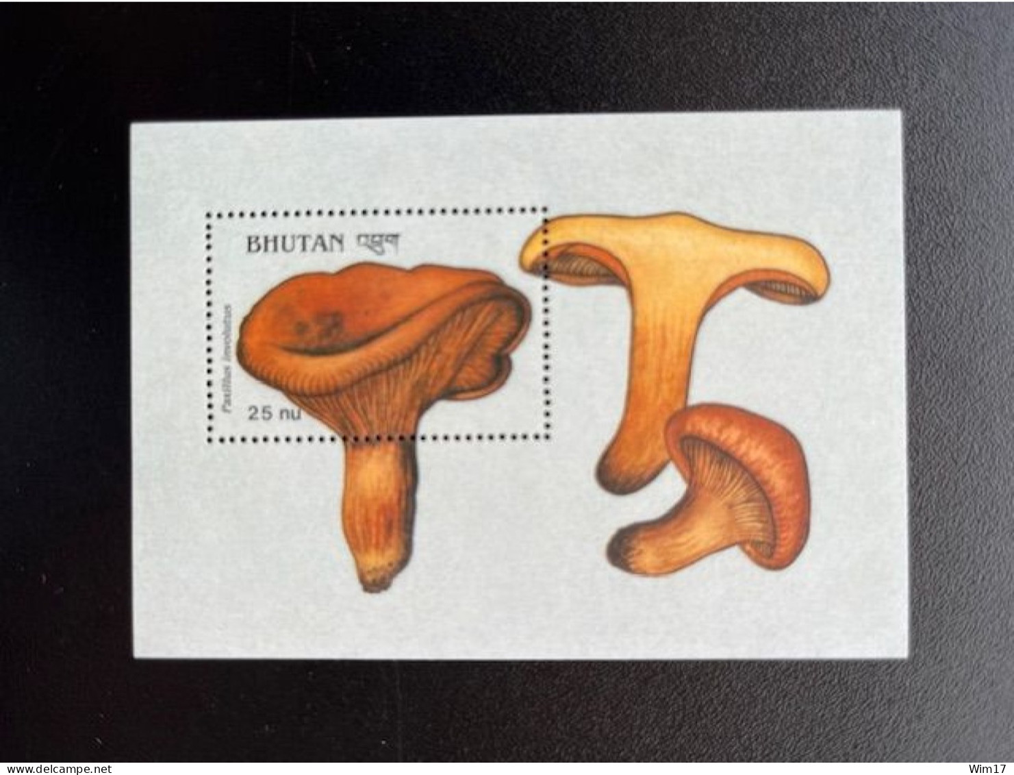 BHUTAN 1989 MUSHROOMS MINI SHEET PAXILLUS INVOLUTUS 25 NU MNH - Bhutan