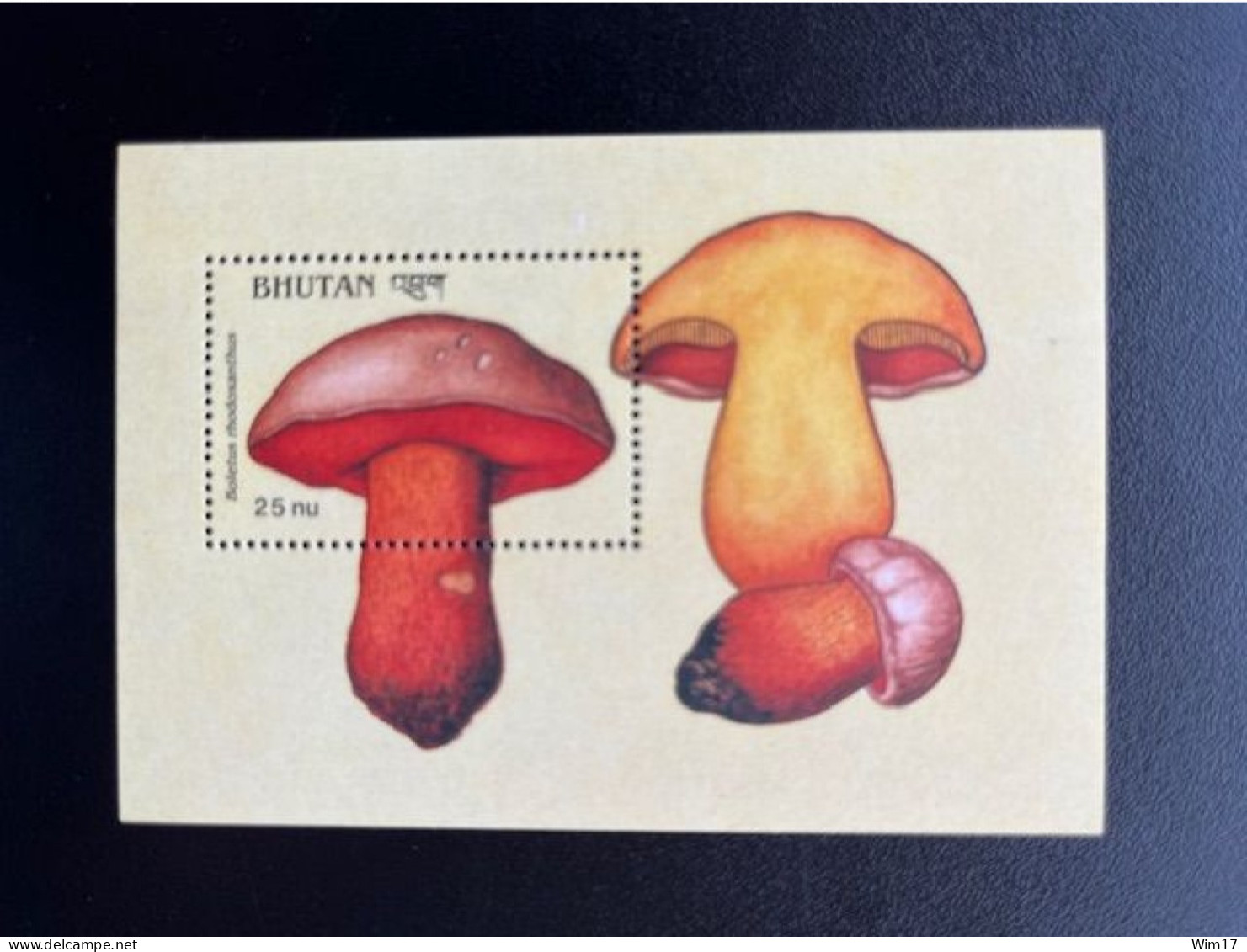 BHUTAN 1989 MUSHROOMS MINI SHEET BOLETUS RHODOXANTHUS 25 NU MNH - Bhutan