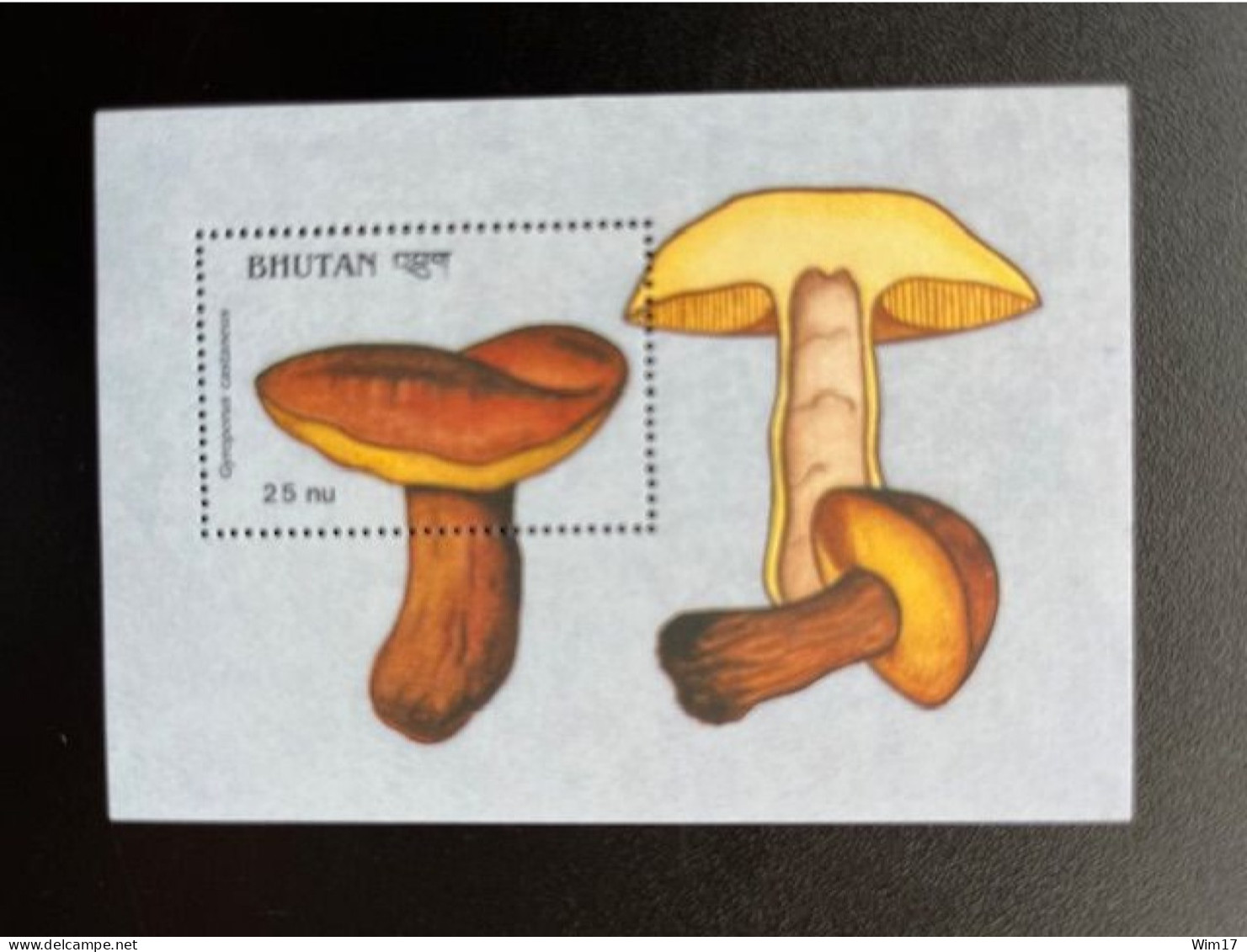 BHUTAN 1989 MUSHROOMS MINI SHEET GYROPORUS CASTANEUS 25 NU MNH - Bhoutan