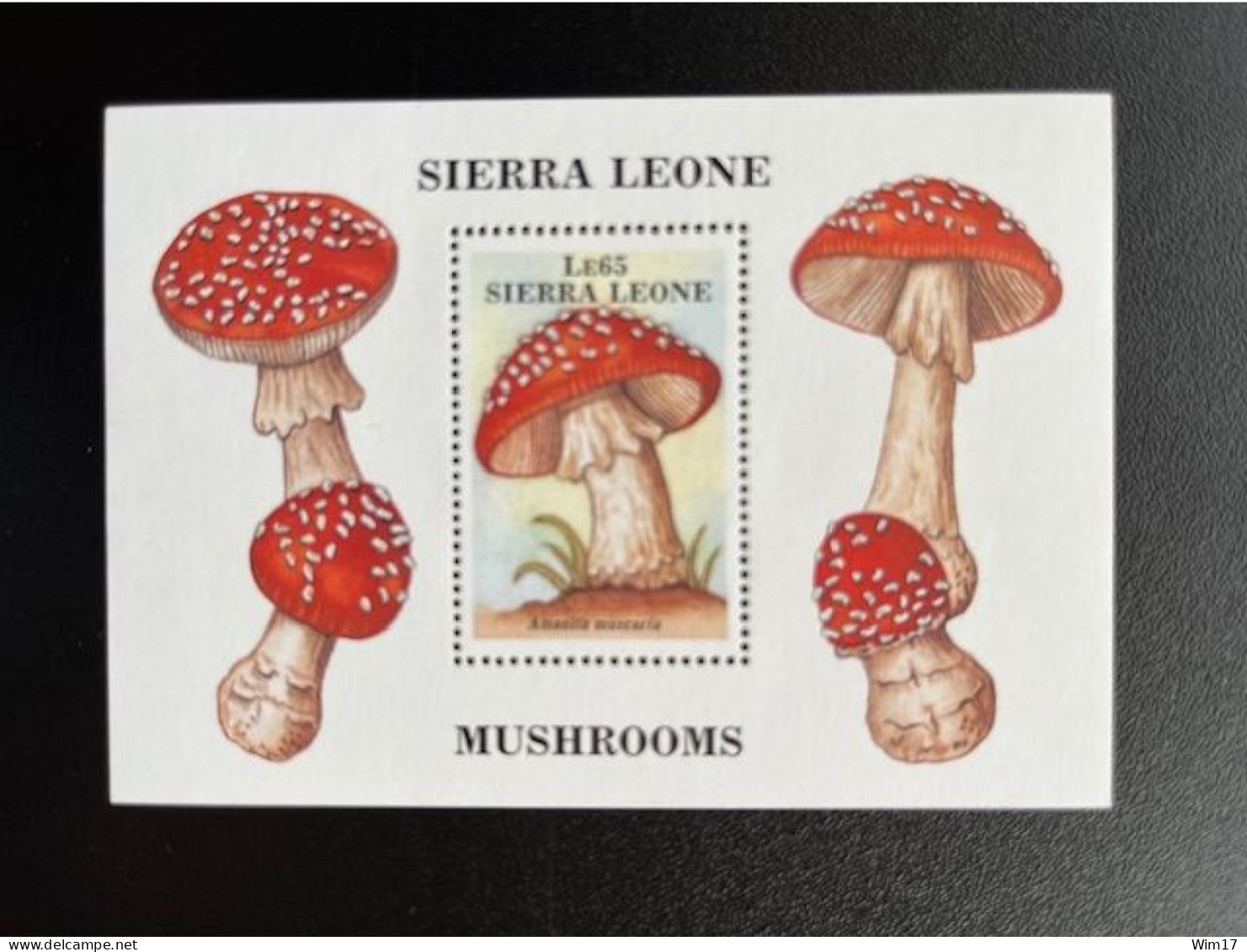 SIERRA LEONE 1988 MUSHROOMS MINI SHEET AMANITA MUSCARIA LE65 MNH - Sierra Leone (1961-...)