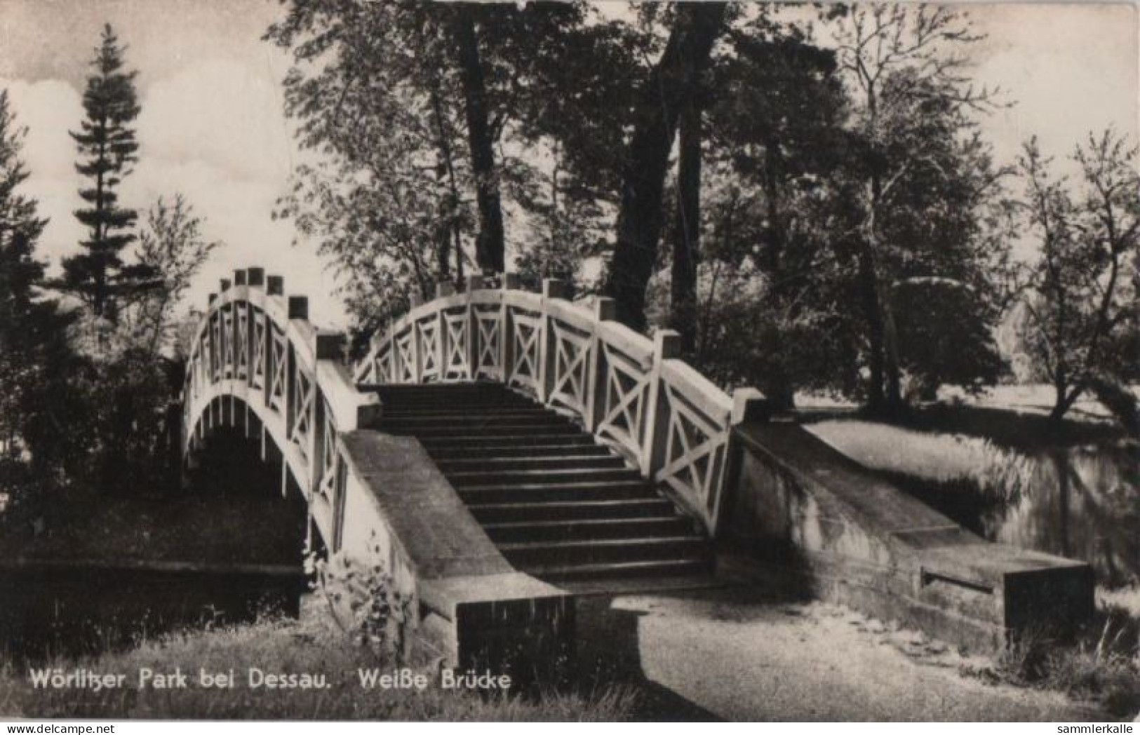 113277 - Wörlitz - Park, Weisse Brücke - Woerlitz