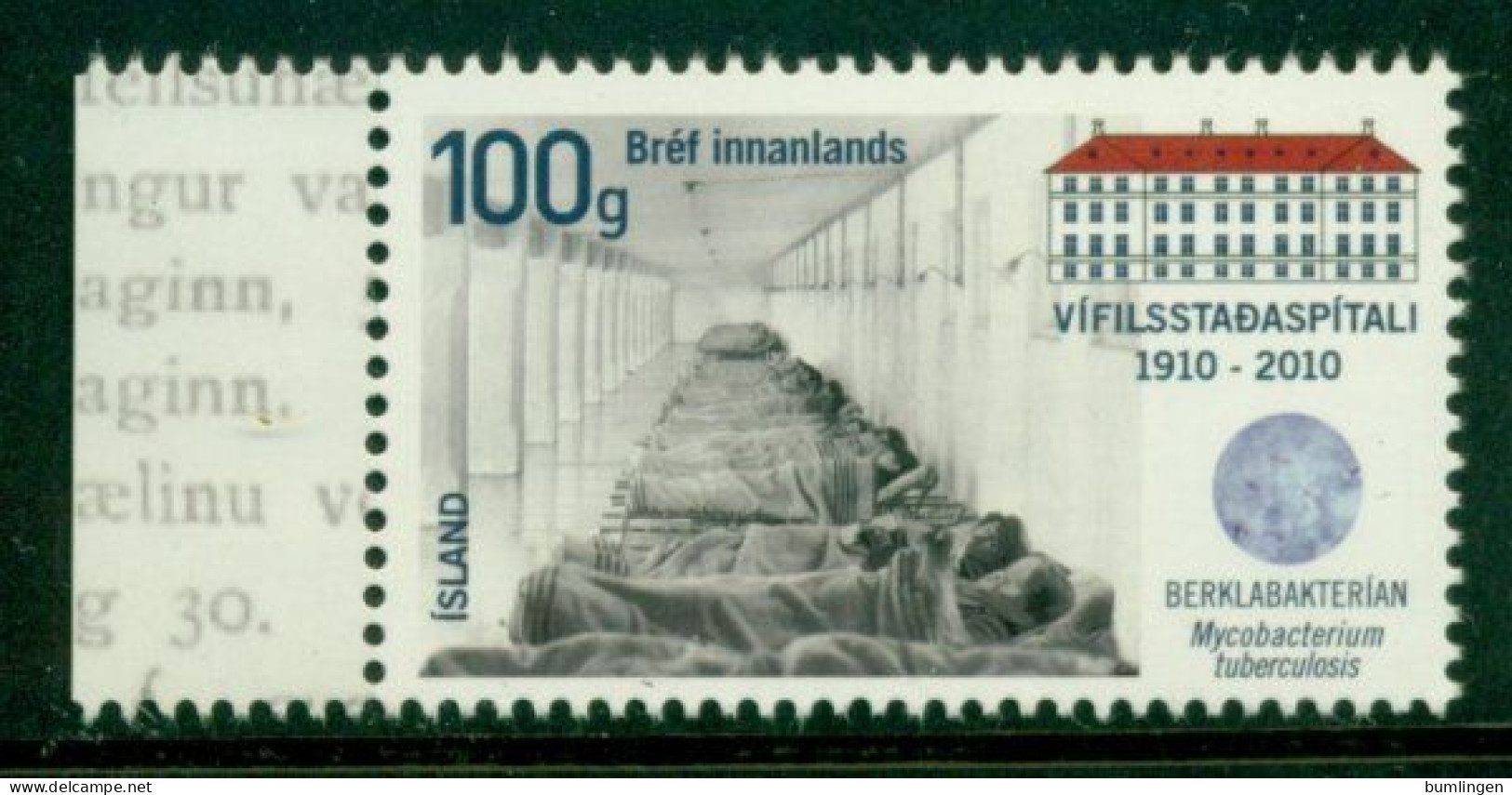 ICELAND 2010 Mi 1288** 100th Anniversary Of The Sanatorium Vifilsstadir [B588] - Ziekte