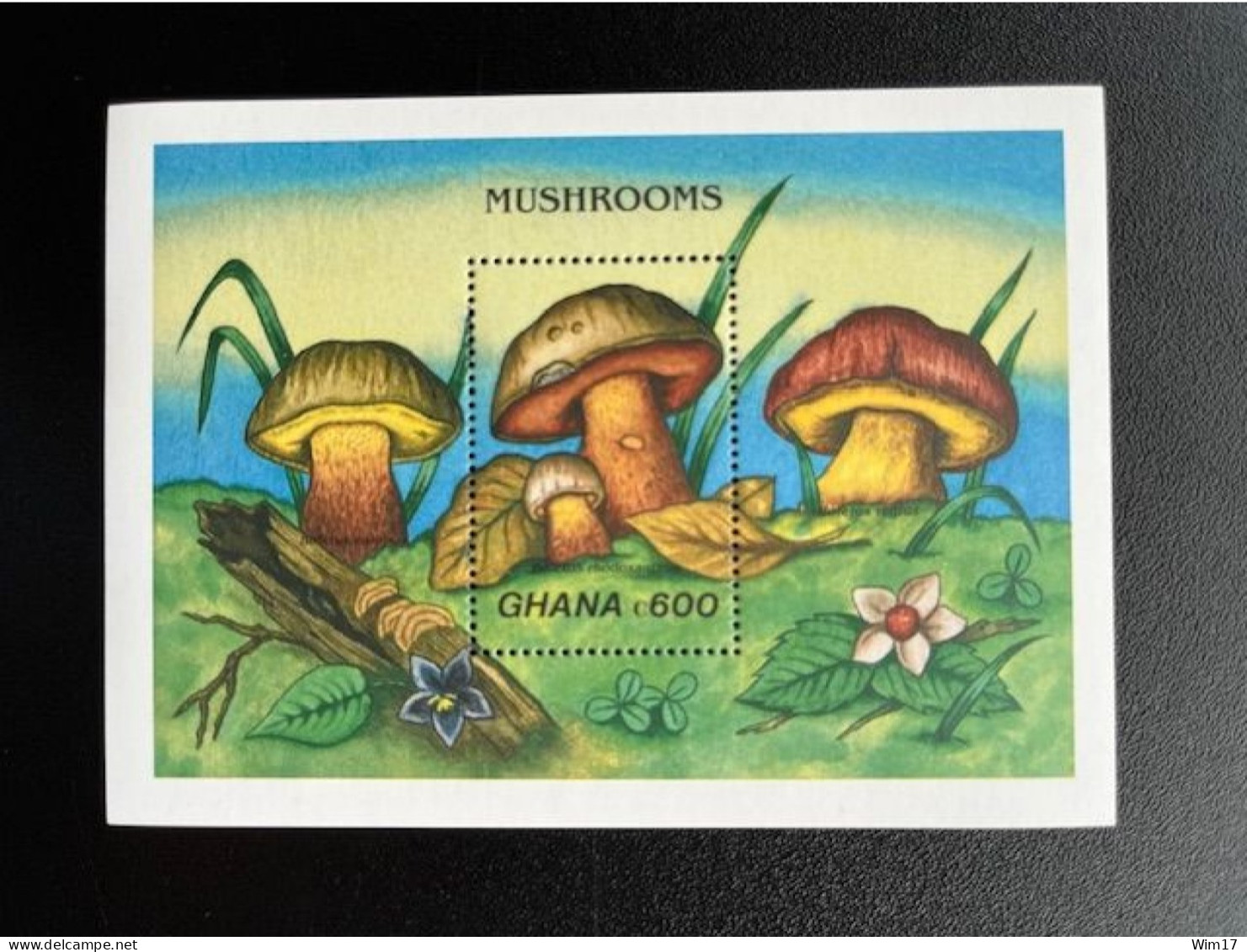 GHANA 1989 MUSHROOMS MINI SHEET BOLETUS RHODOXANTHUS C600 MNH - Ghana (1957-...)