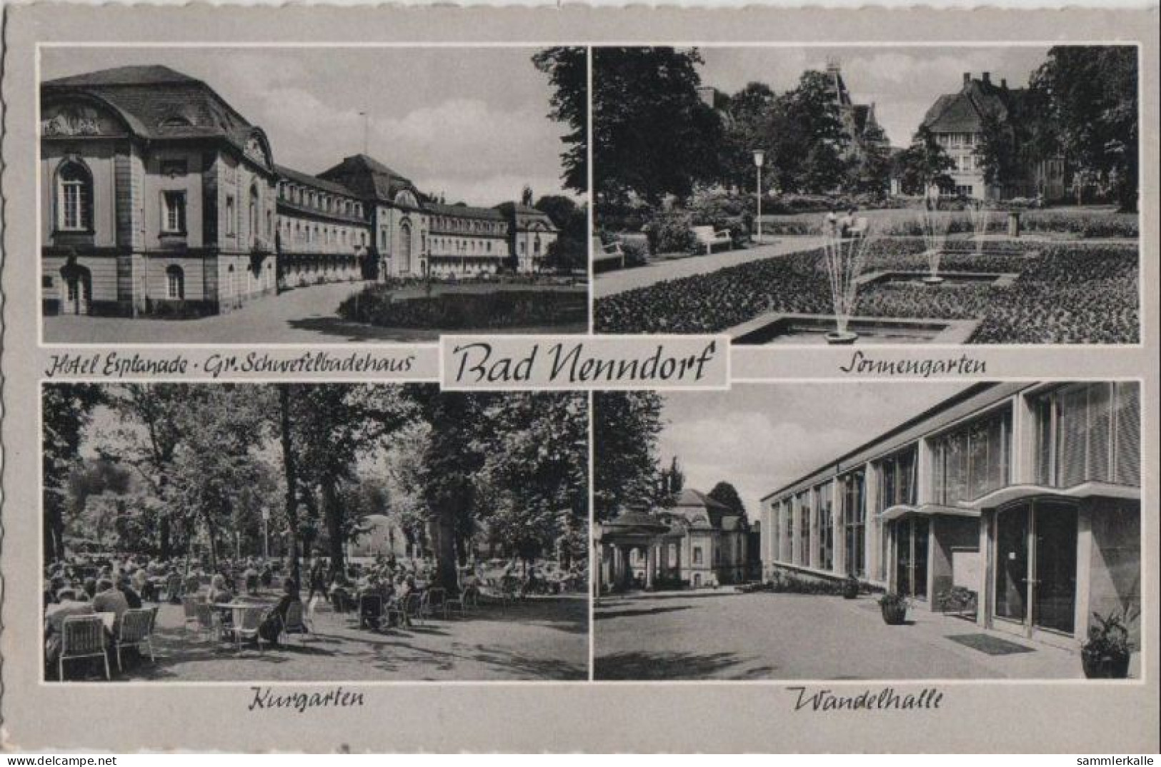 86136 - Bad Nenndorf - U.a. Sonnengarten - Ca. 1960 - Bad Nenndorf