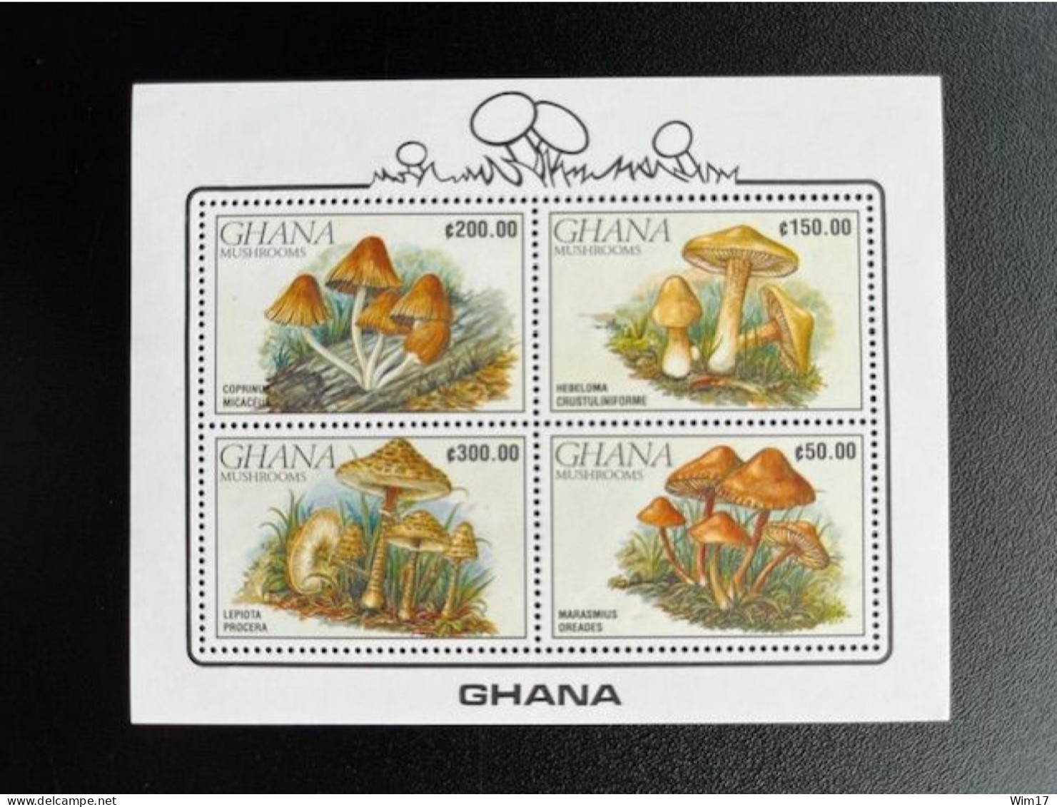 GHANA 1990 MUSHROOMS MINI SHEET MNH - Ghana (1957-...)