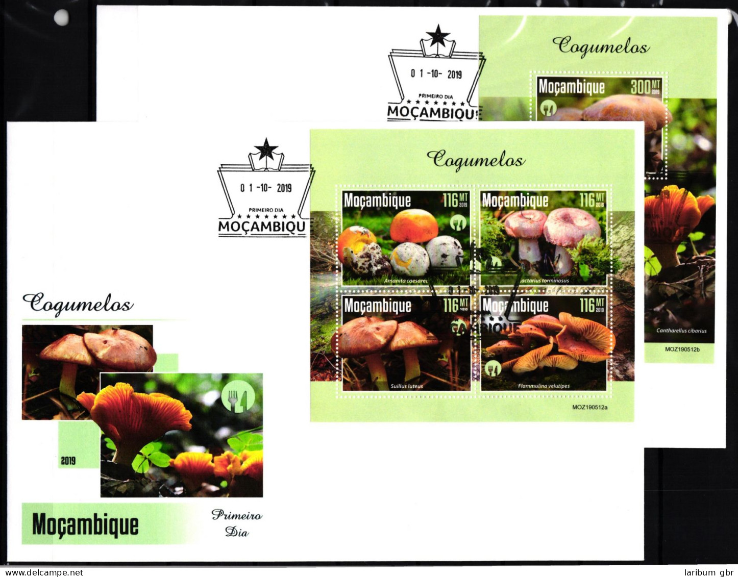 Mosambik Gestempelt Kleinbogen Und Block Als FDC Aus Jahrgang 2019 /Pilze #JA908 - Mosambik