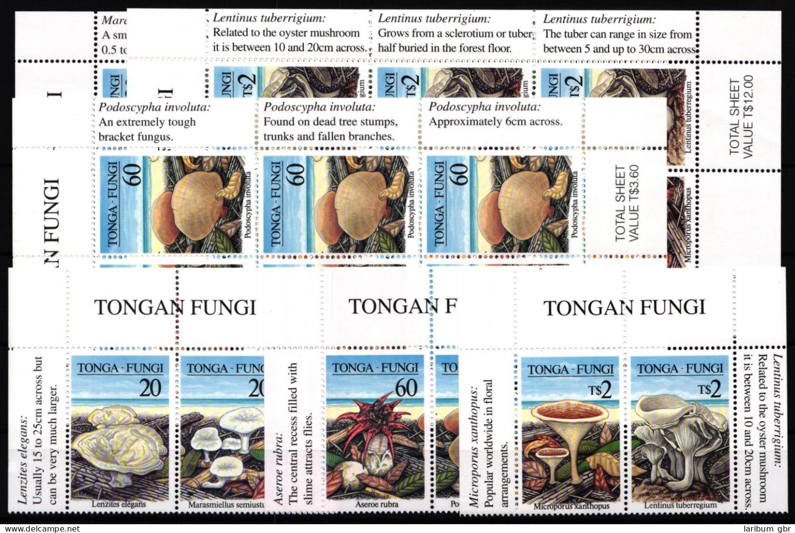 Tonga 1500-1505 Postfrisch 3 Paare Und 3 2xDreierstreifen / Pilze #JA968 - Tonga (1970-...)