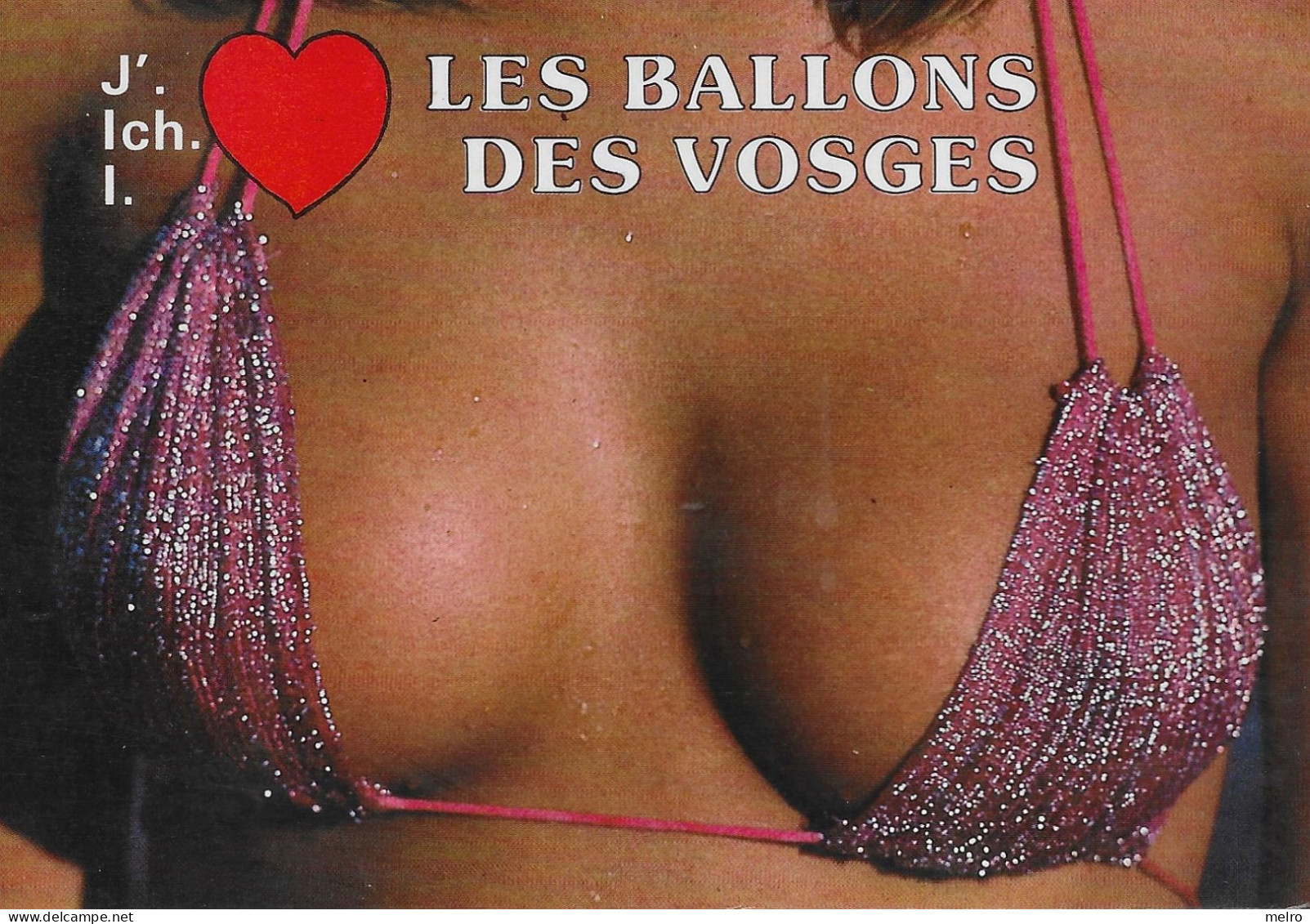 CPSM - Pin-Ups  -Souvenir Des Vosges -Les Ballons Des VOSGES. - Pin-Ups