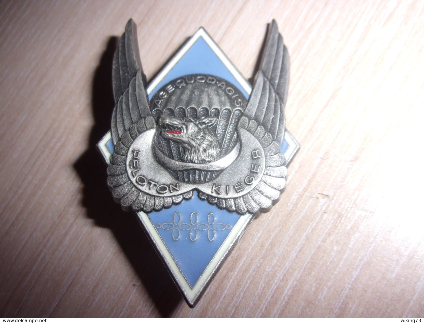 Insigne Peloton KIEGER Du 1° Régiment De Hussards Parachutistes - RHP - TAP - Esercito