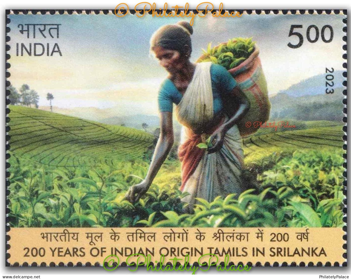 India 2023,Tea, Plucking, Drink, Food,Woman, 200th Years Of Indian Origin Tamils In Sri Lanka, 1v MNH (**) Inde Indien - Neufs