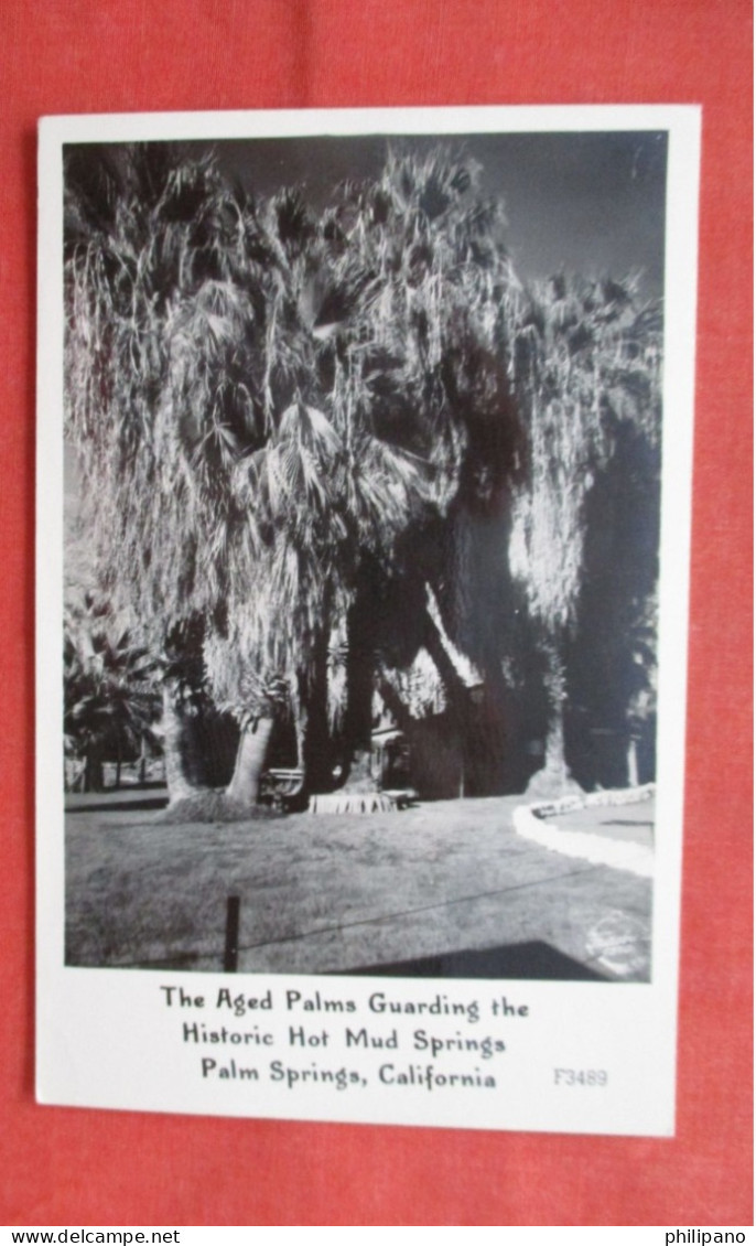 RPPC Aged Palms   Hot. Mud Springs  Palm Springs California > Palm Springs    Ref 6358 - Palm Springs