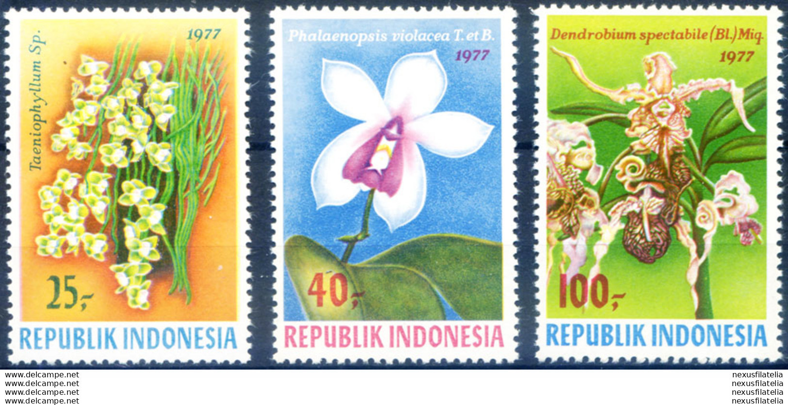 Flora. Orchidee 1977. - Indonesië