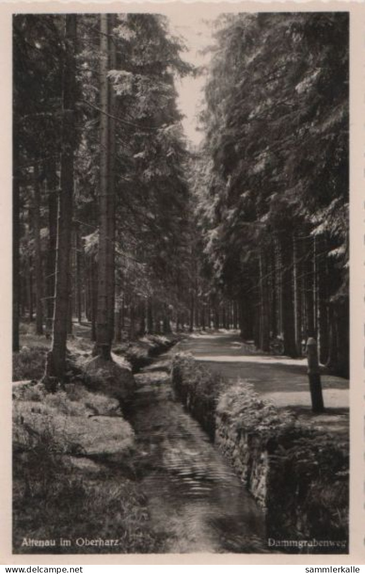 57997 - Altenau - Dammgrabenweg - Ca. 1955 - Altenau
