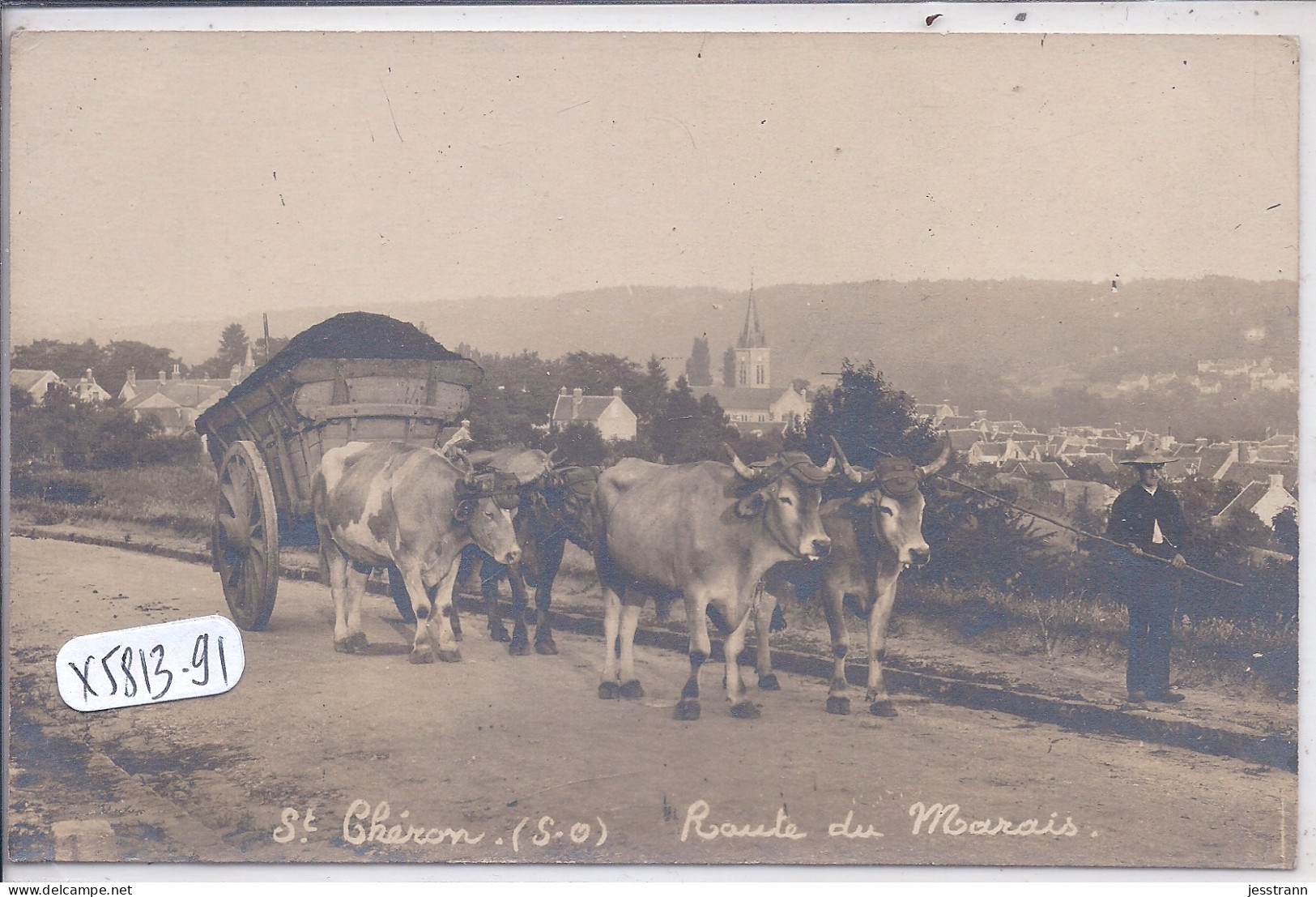 SAINT-CHERON- CARTE-PHOTO- BEL ATTELAGE DE 4 BOEUFS SUR LA ROUTE DE MARAIS - Saint Cheron