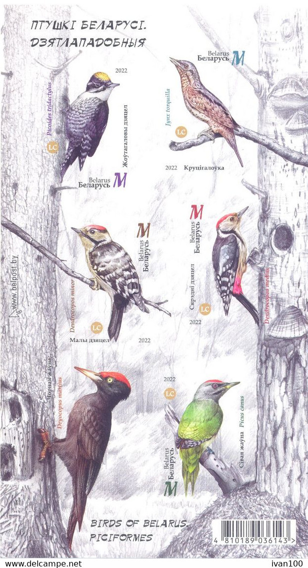 2022. Belarus, Birds Of Belarus, Piciformes, S/s Imperforated, Mint/** - Belarus