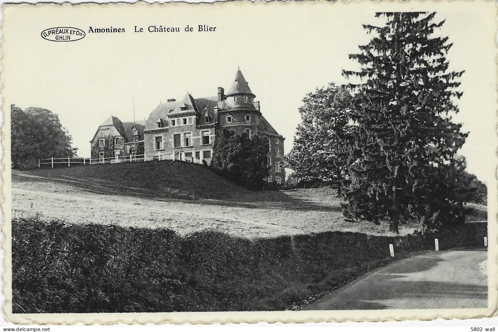 EREZEE-AMONINES : Le Château De Blier - Erezée