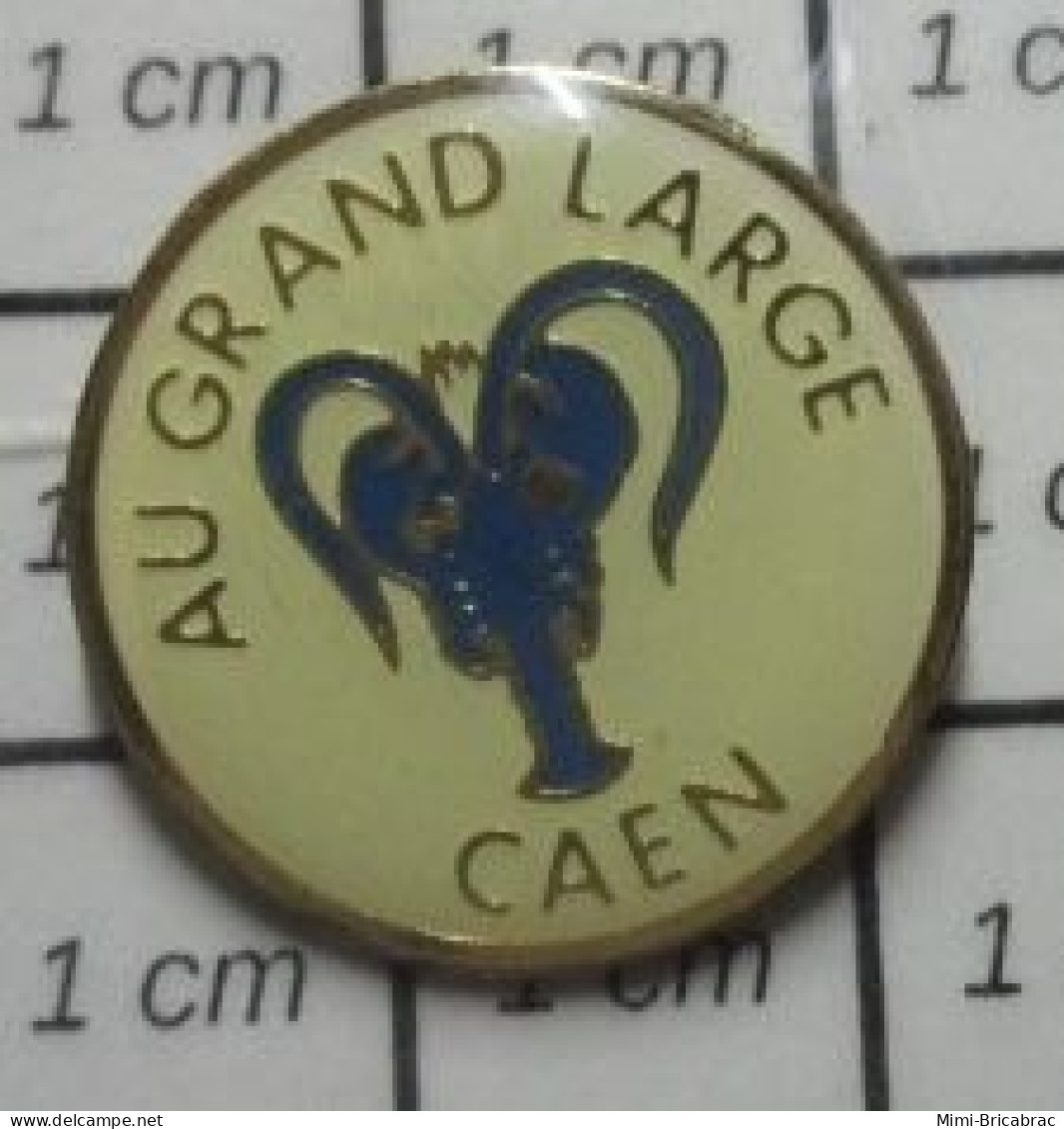511c Pin's Pins / Beau Et Rare / ALIMENTATION / POISSONNERIE HOMARD AU GRAND LARGE CAEN - Levensmiddelen